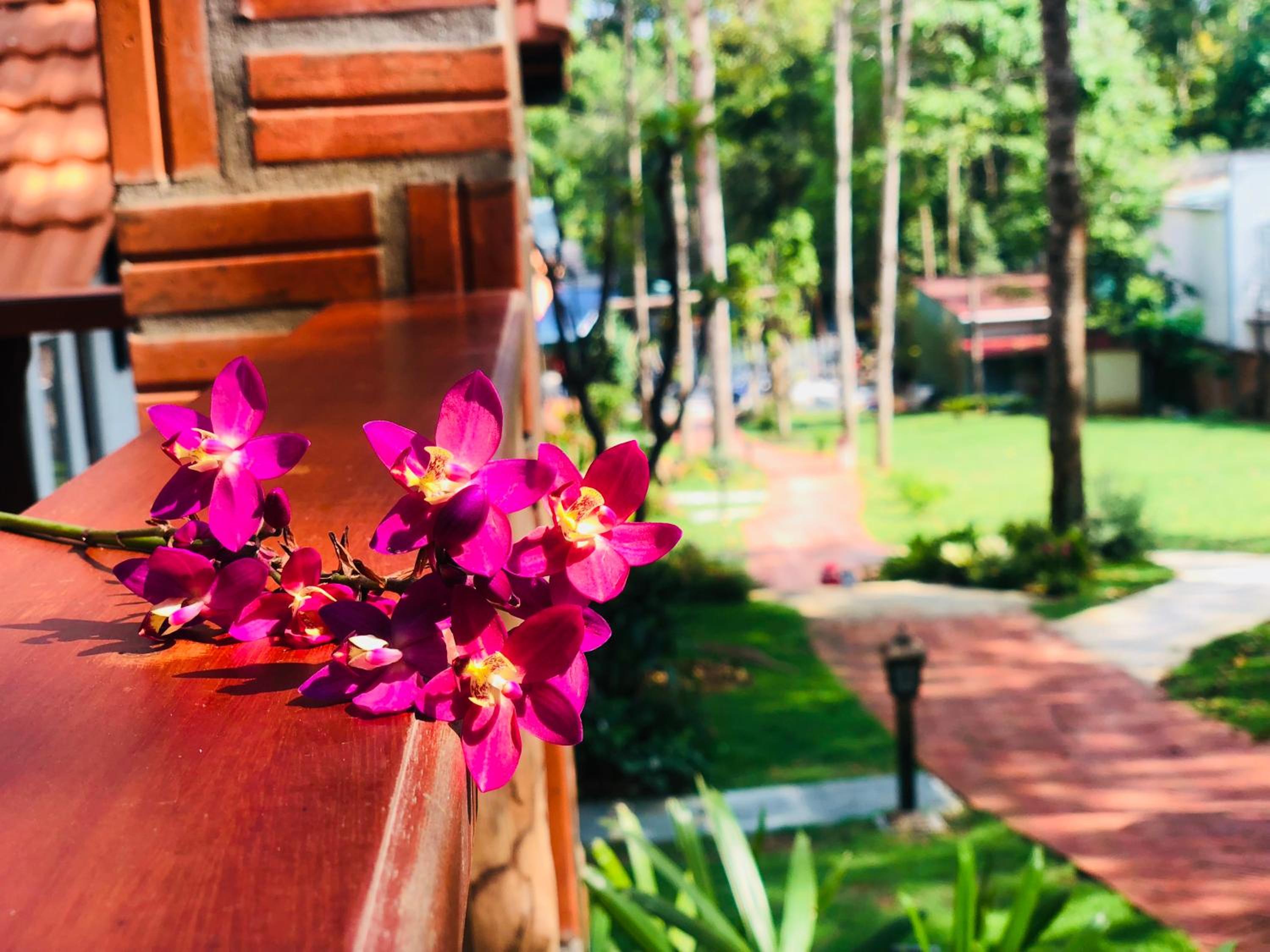 Đồi Sao Phú Quốc