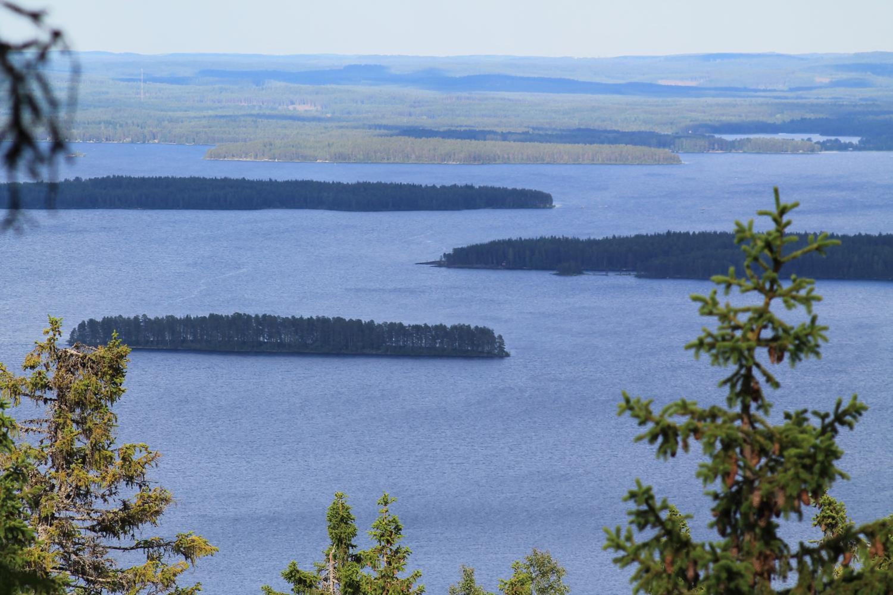 Lake Cottage Koivuniemi