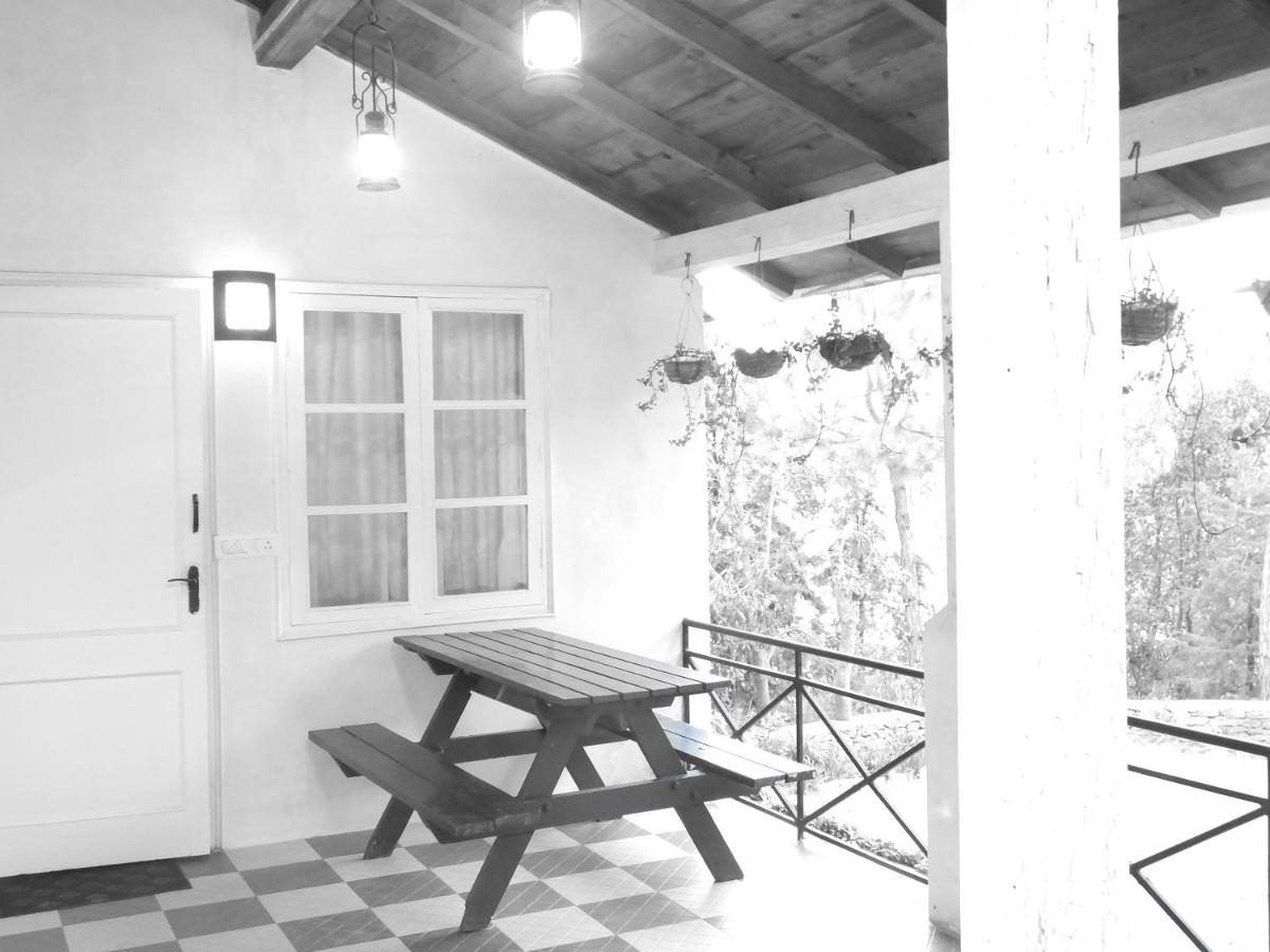 Photo 22