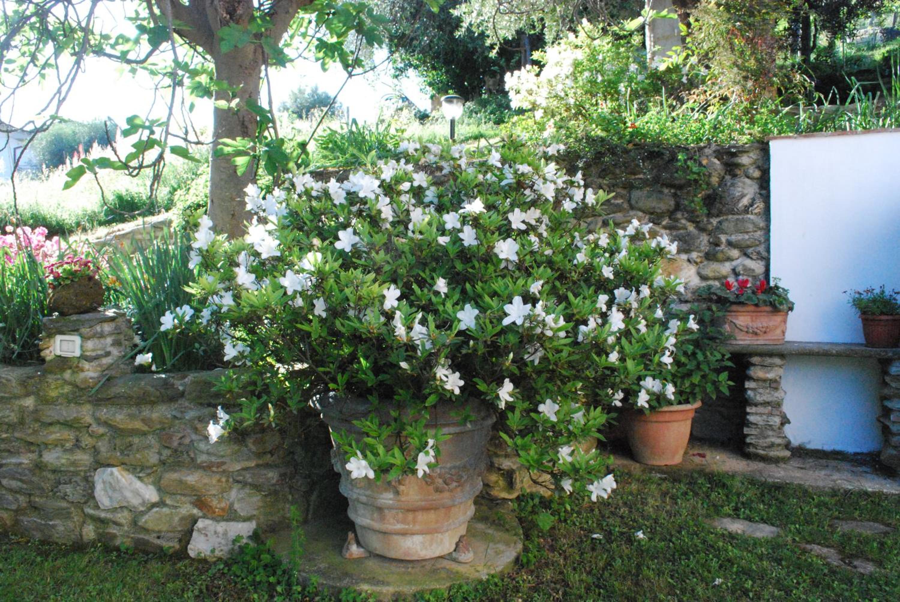 Photo 43
