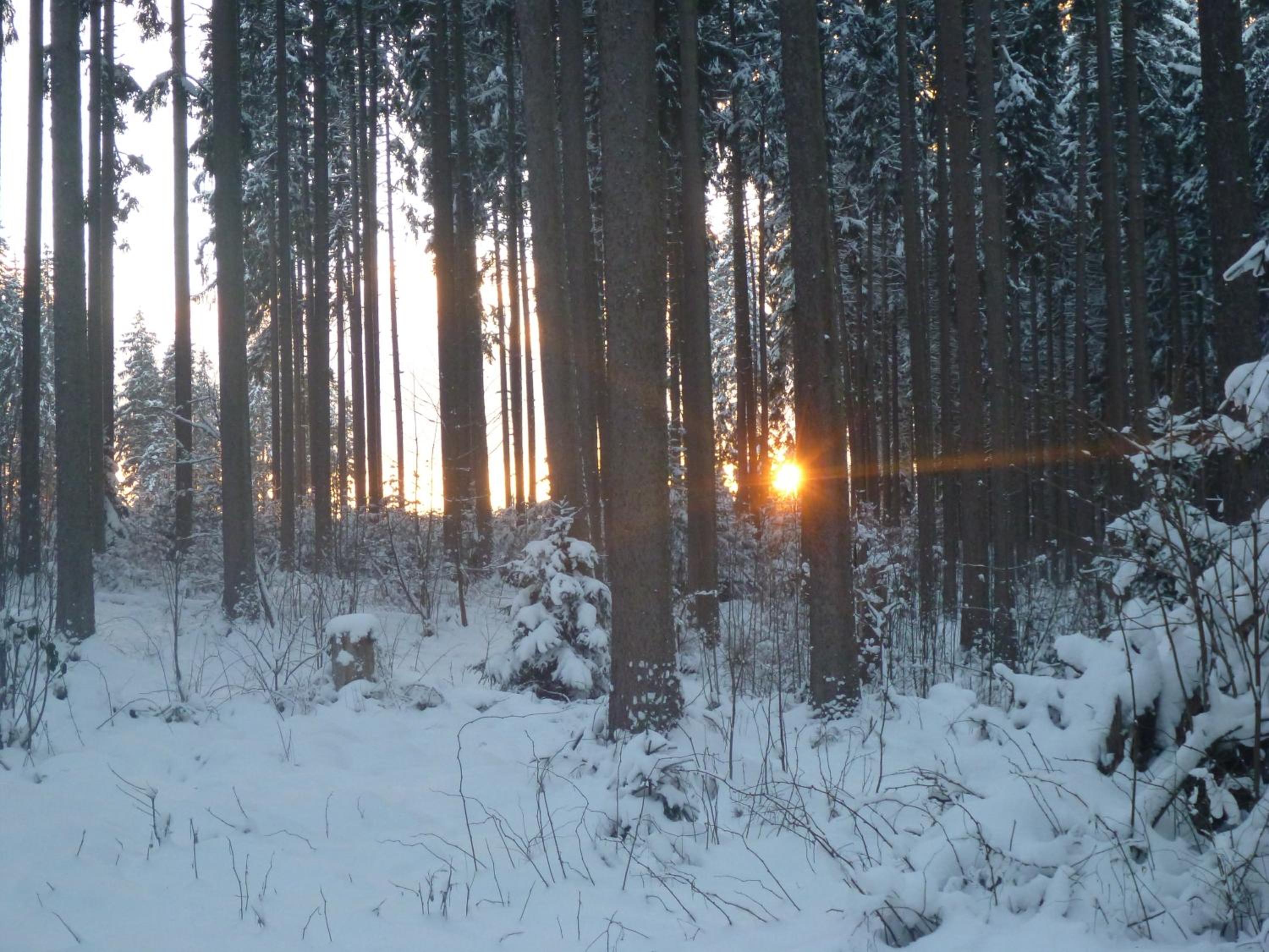 Photo 25