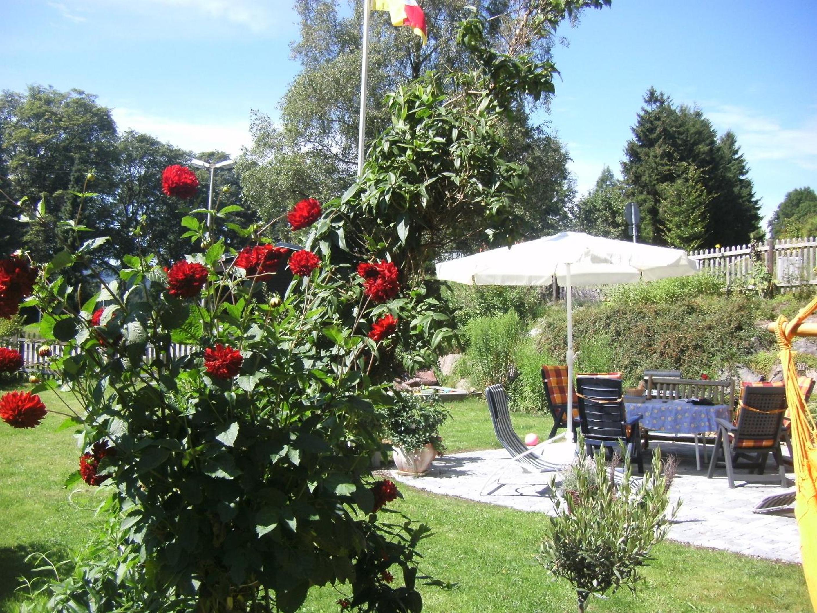 Photo 27