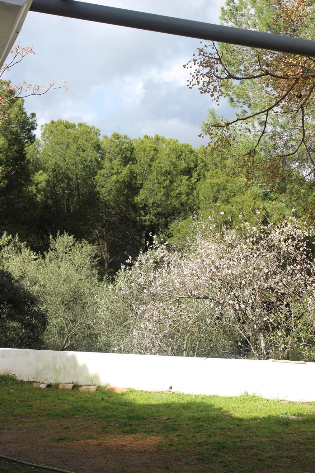 Photo 28