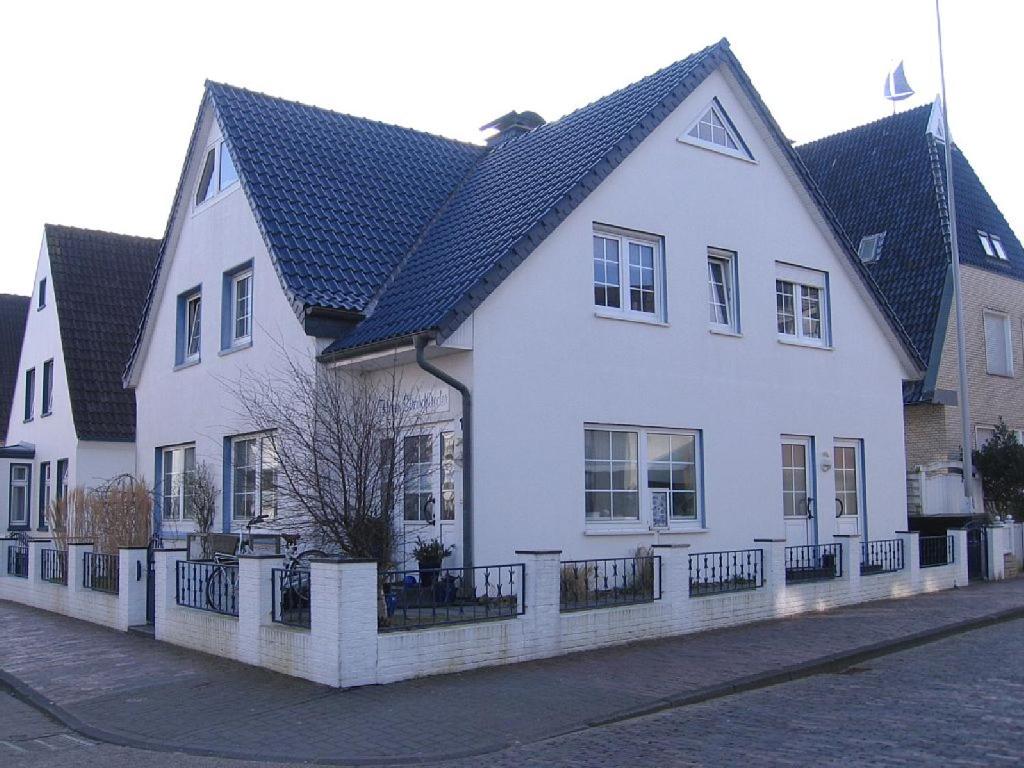 Strandflieder
