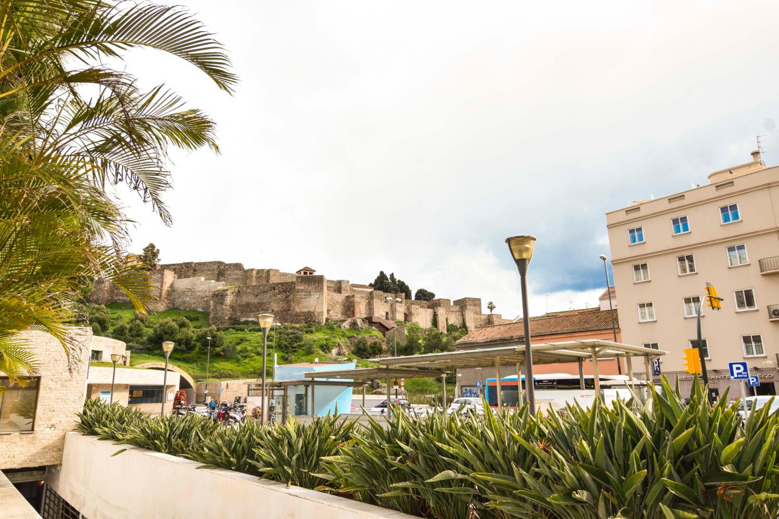 Letmalaga Clemens