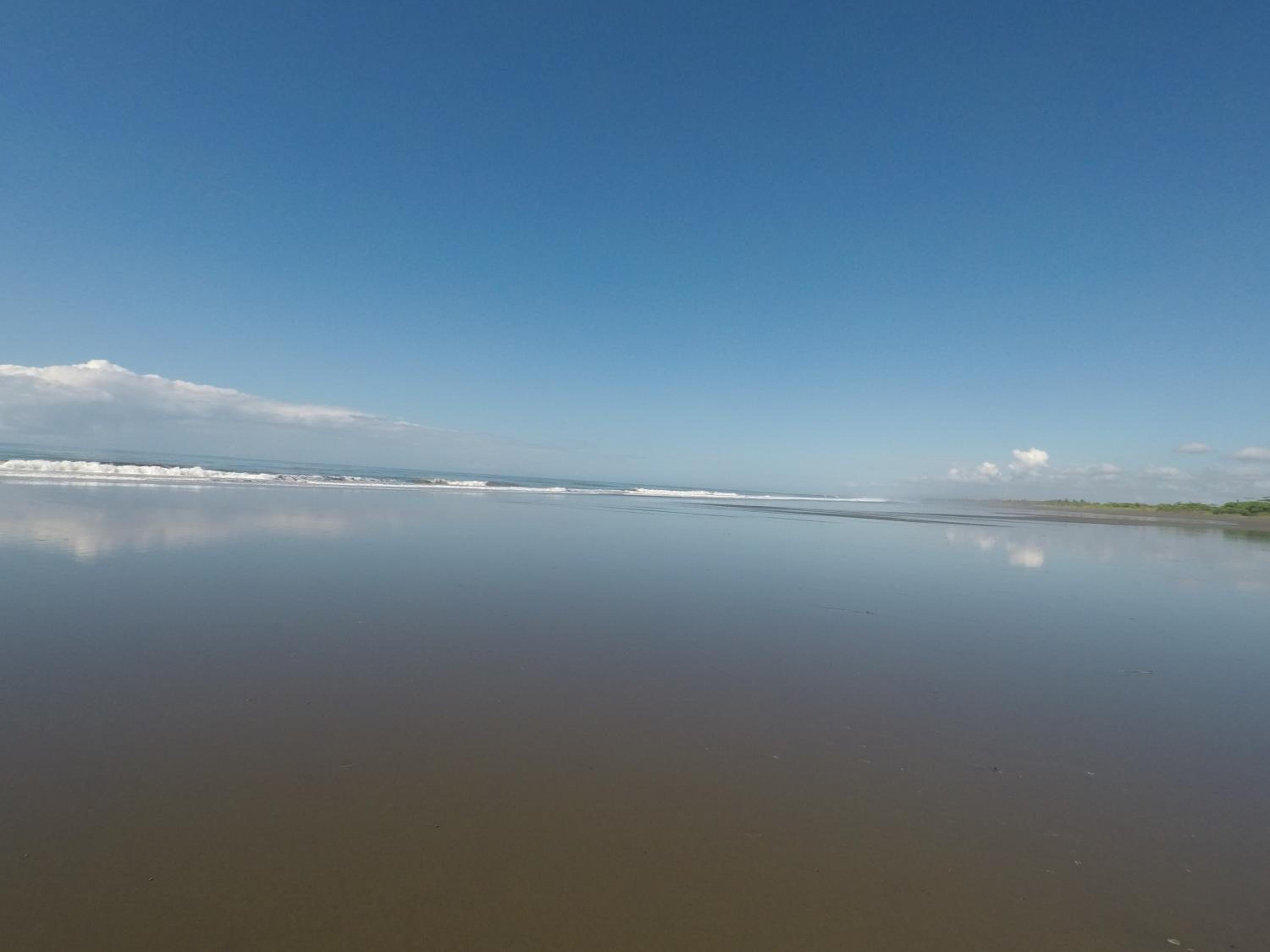 Miguel Surf Camp