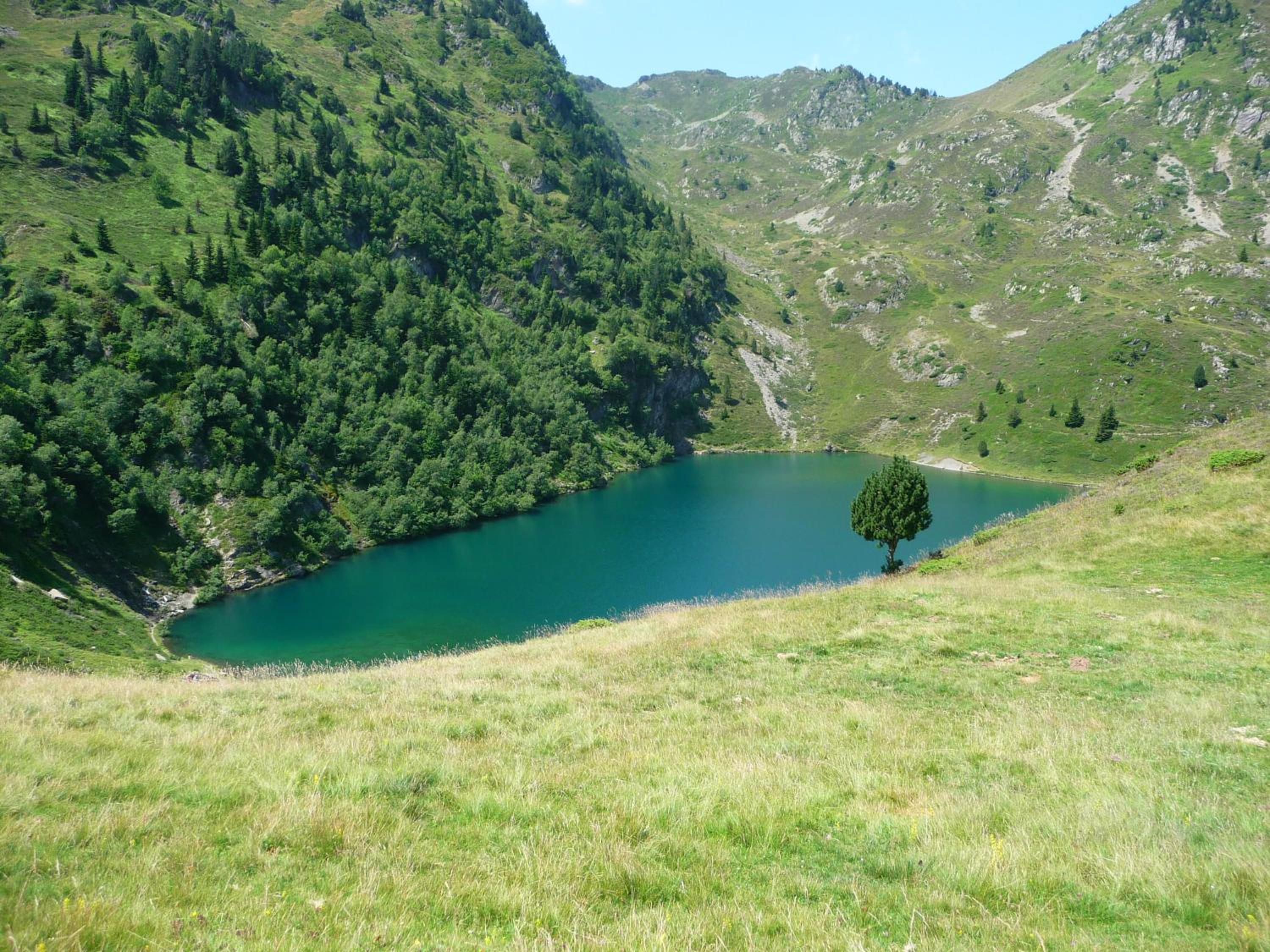 Photo 27