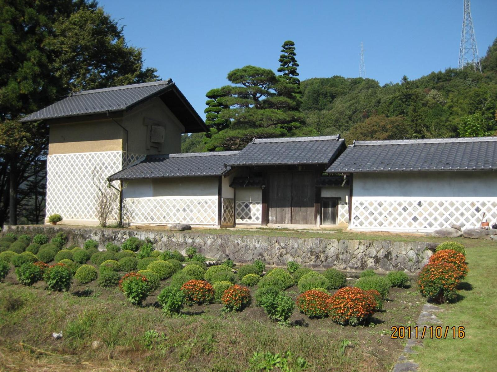 Photo 31