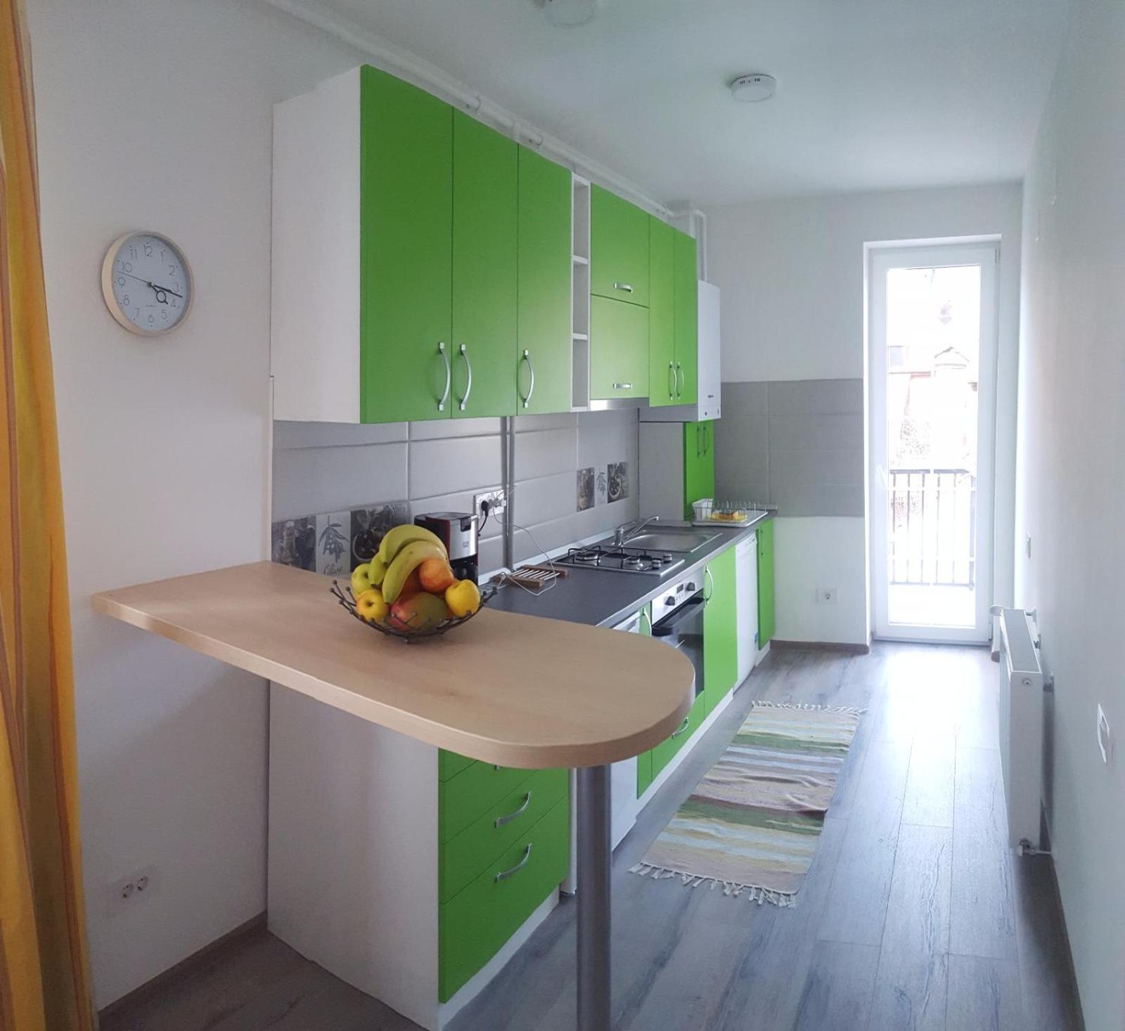 Apartament Schiller 58 view 4