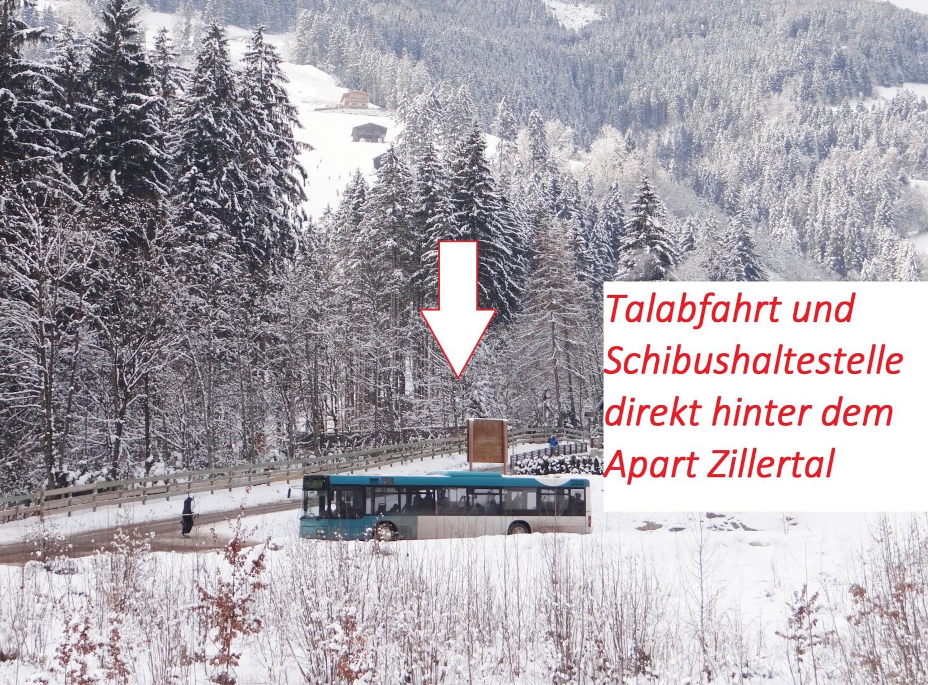 Apart Zillertal