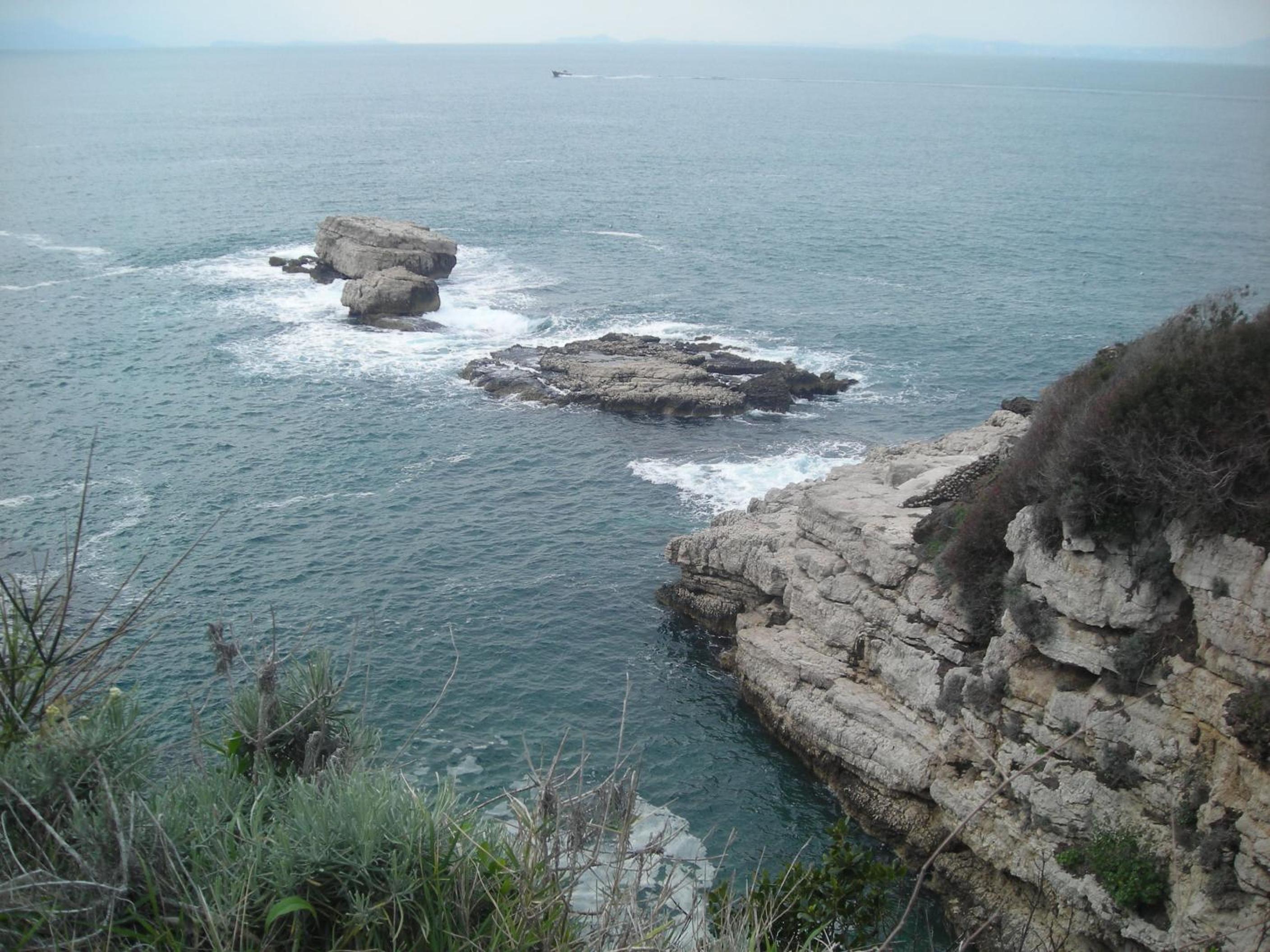 Photo 26
