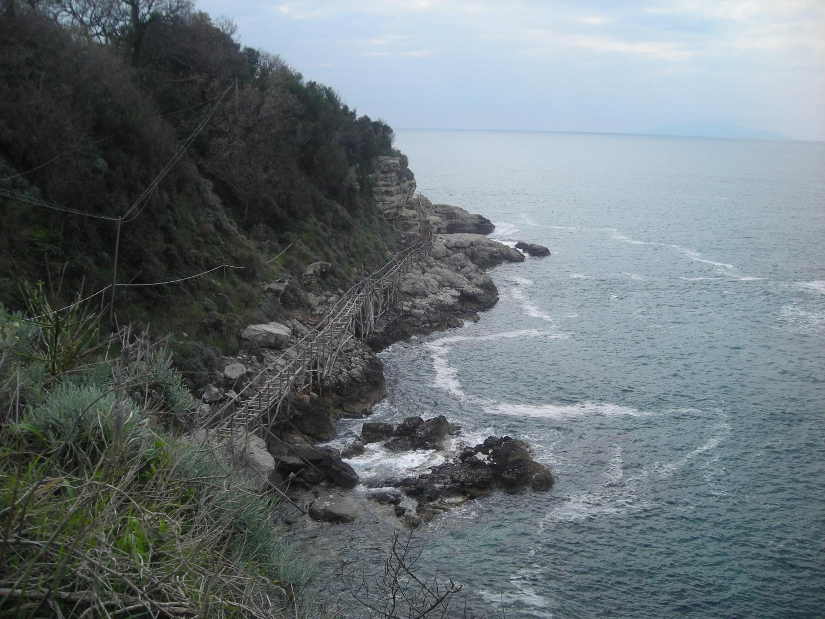 Photo 28