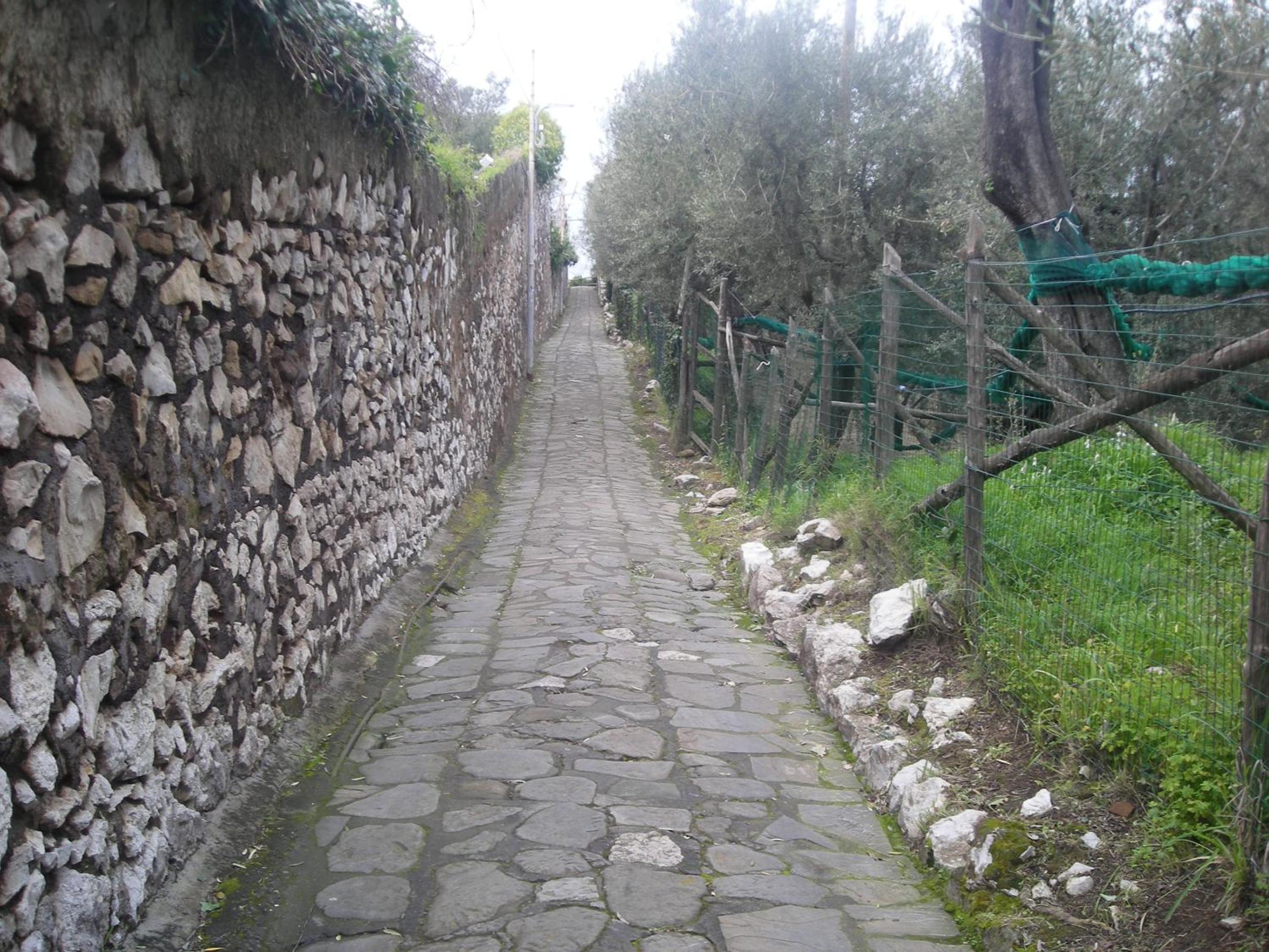 Photo 35