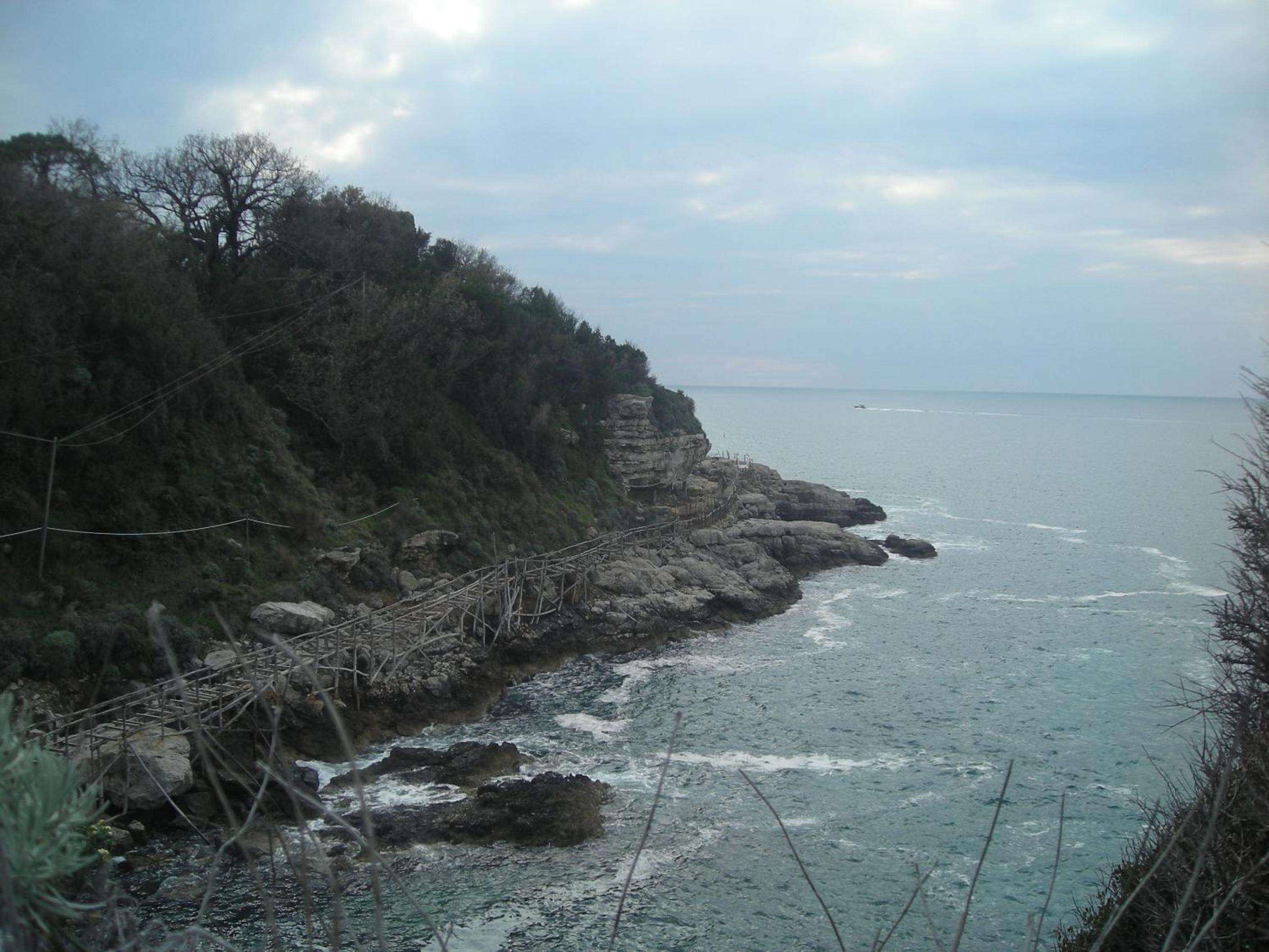 Photo 31