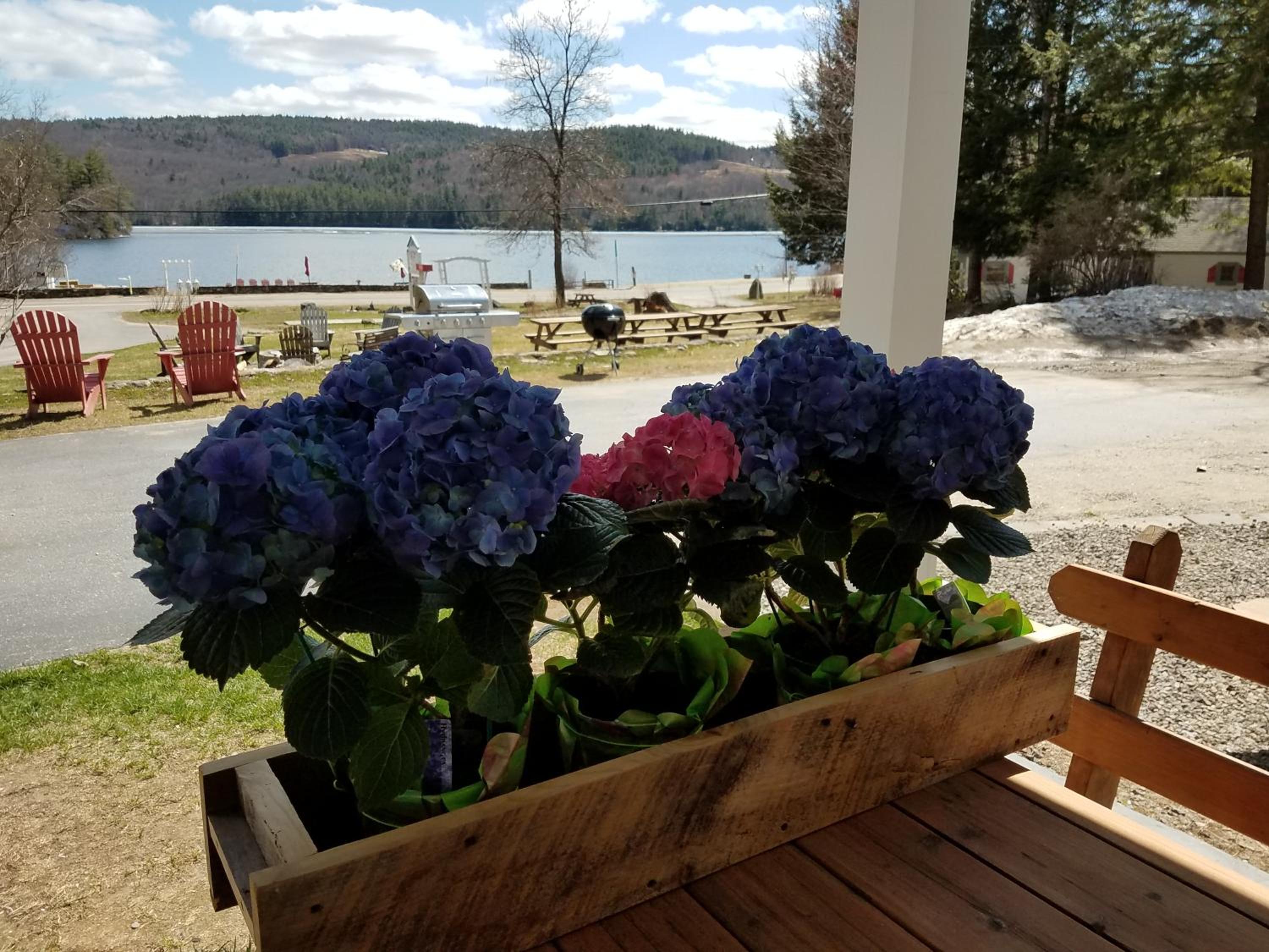 Cottage Place on Squam Lake - Suites view 4