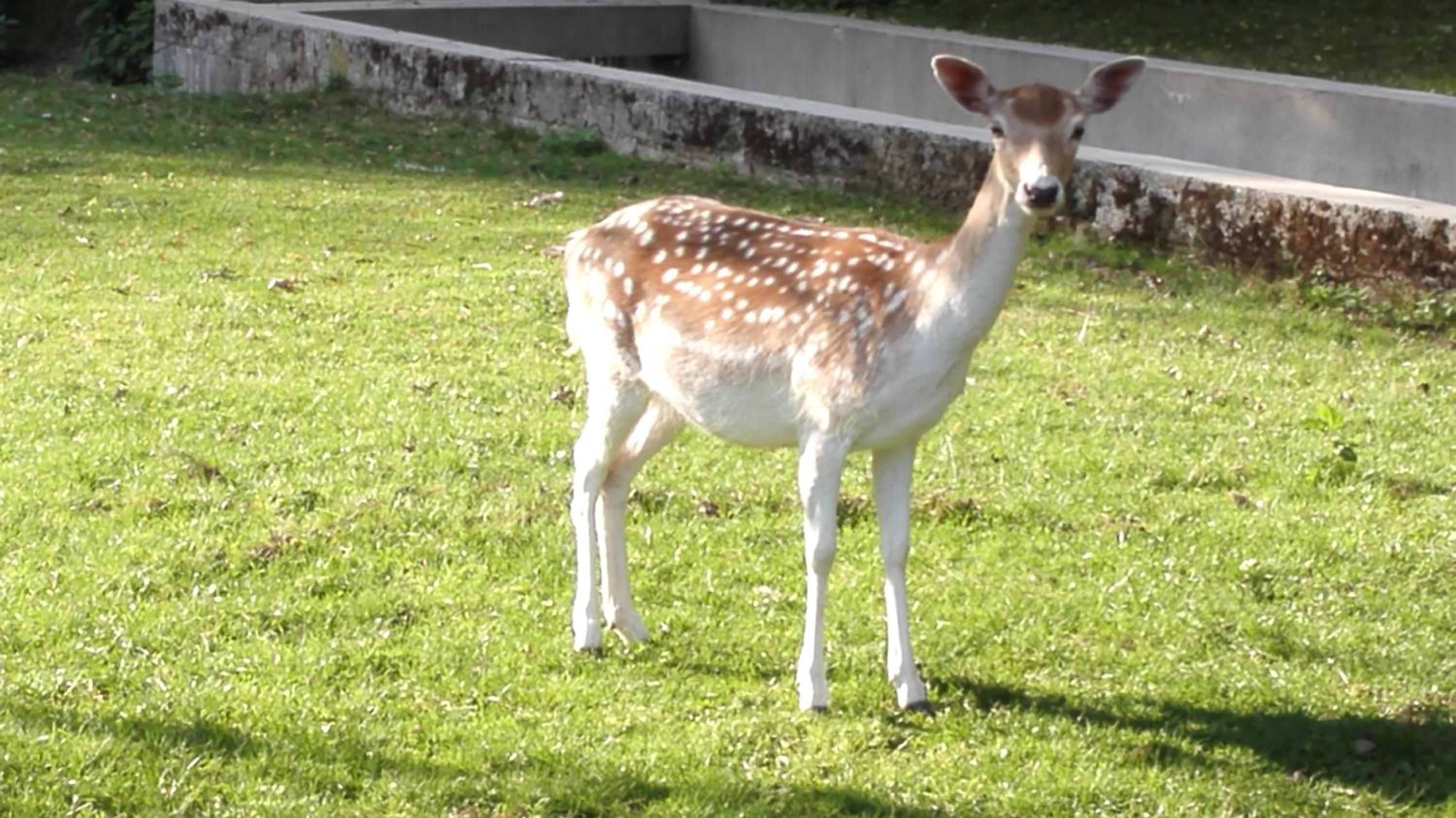 Domačija Bubec