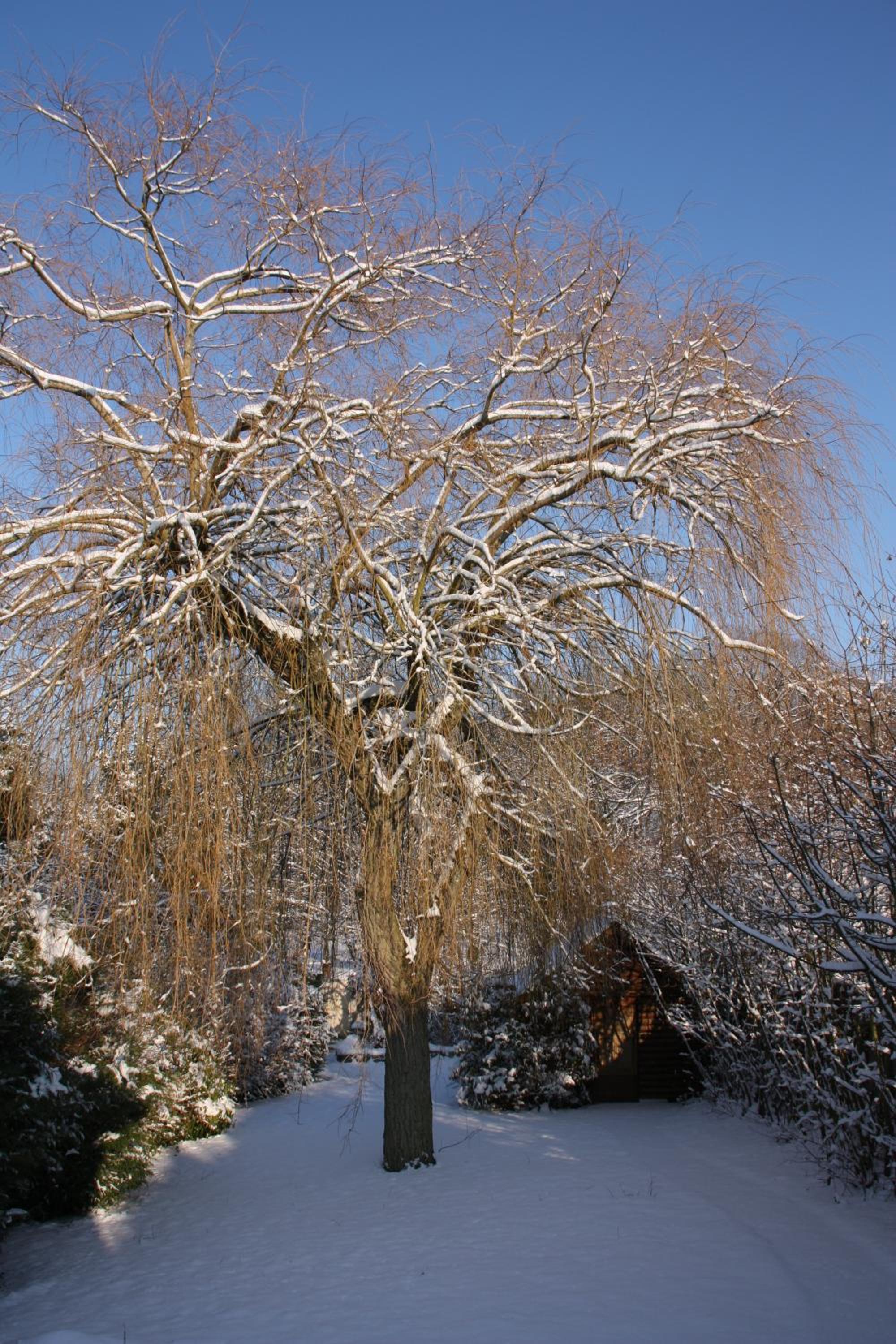 Photo 14