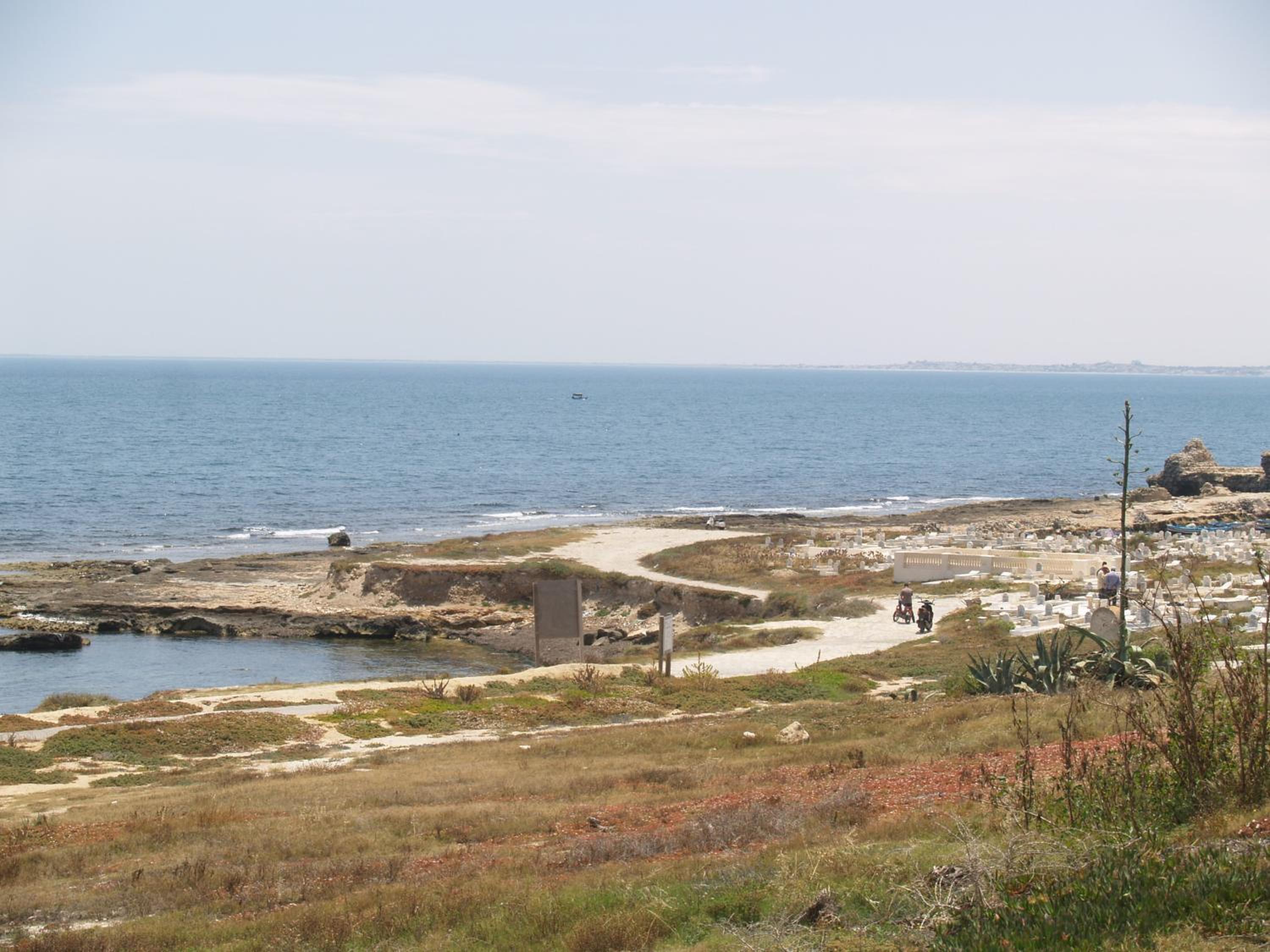 Photo 20