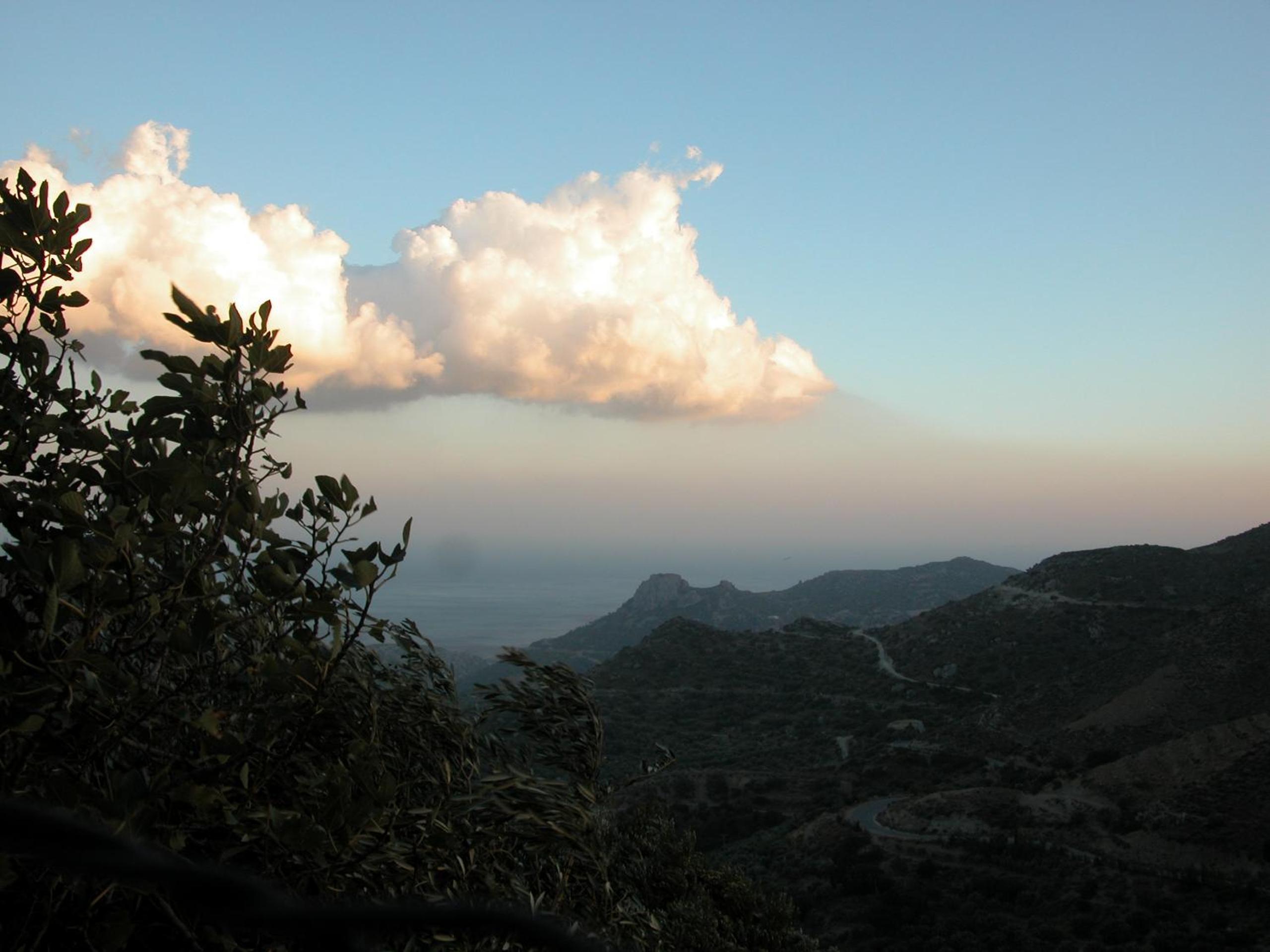 Photo 41