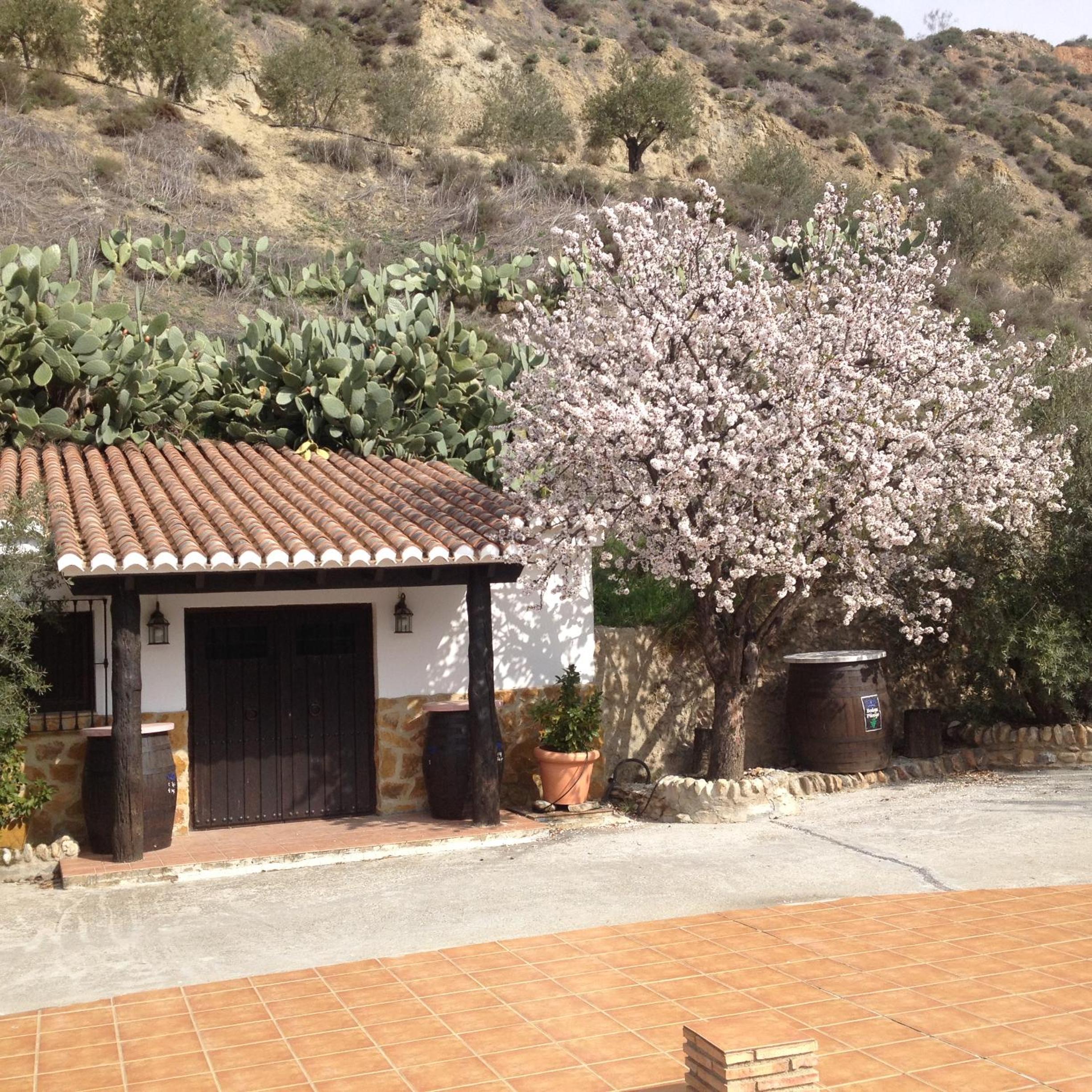 Cortijo Pilongo view 2