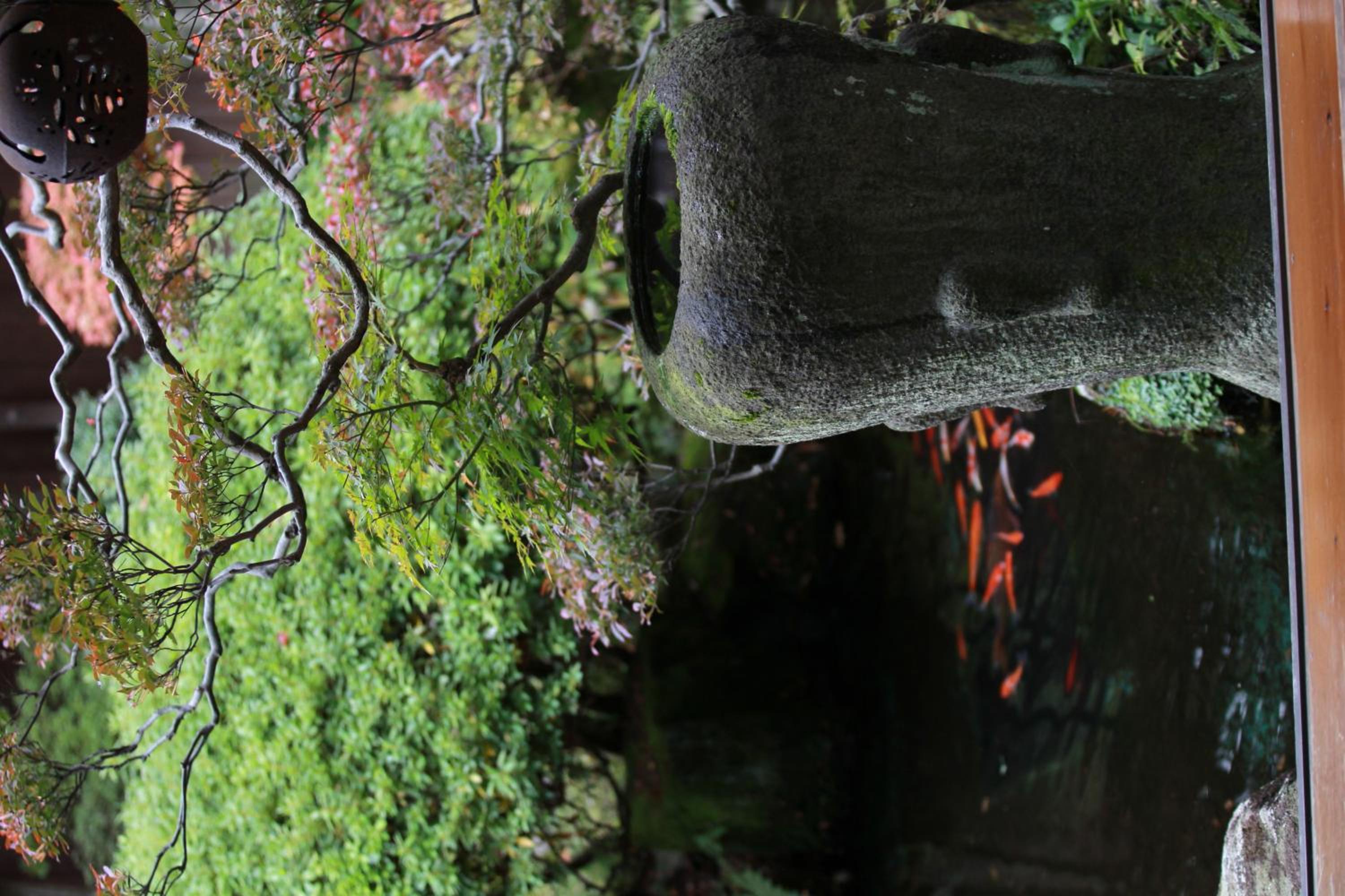 Ryokan Kaminaka