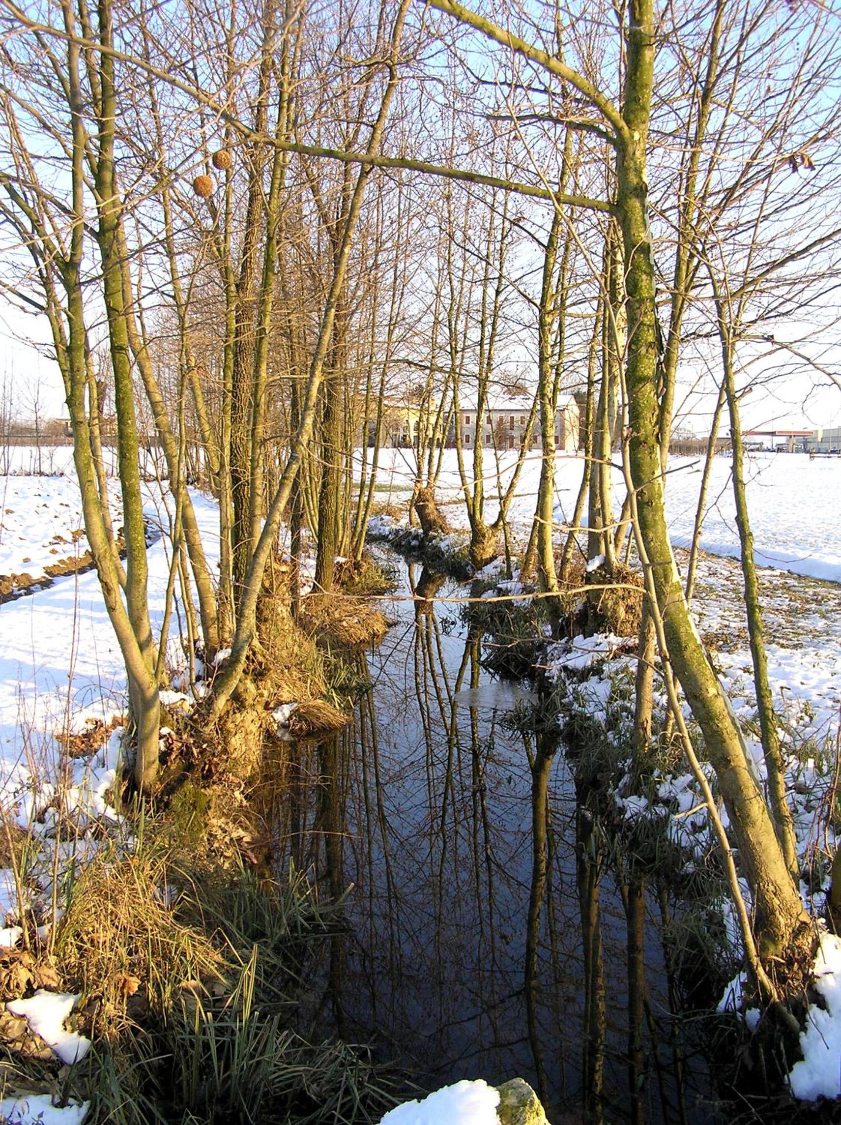 Photo 47
