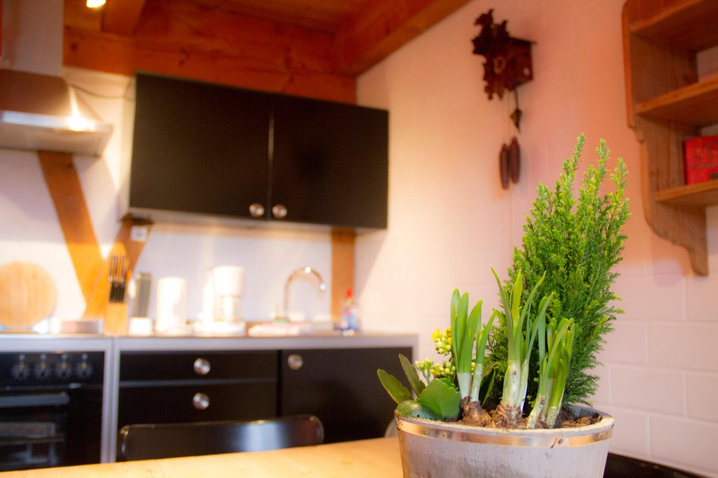 Gibbesbachhof Black Forest Apartments