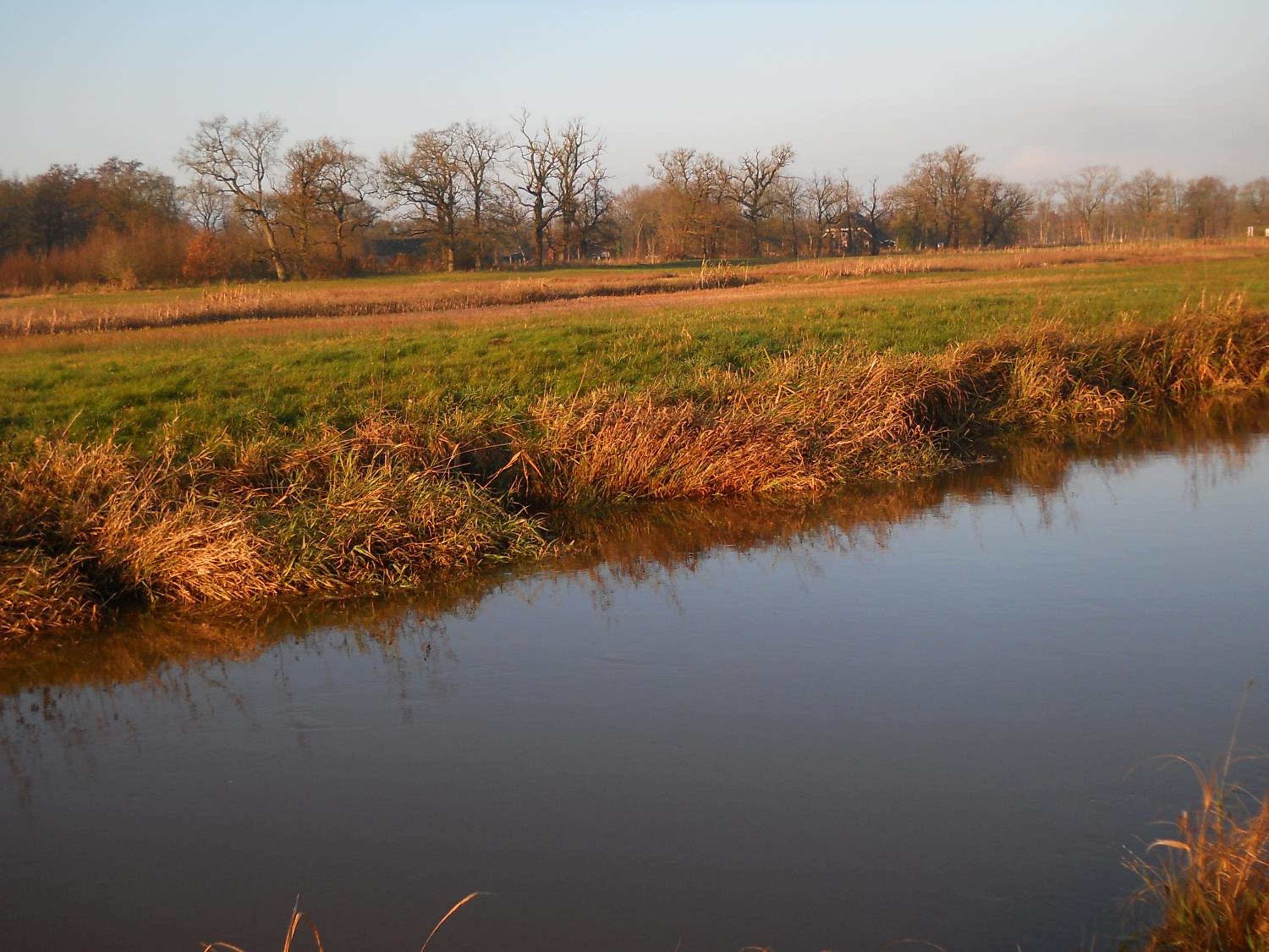 Slaopen en Stoet