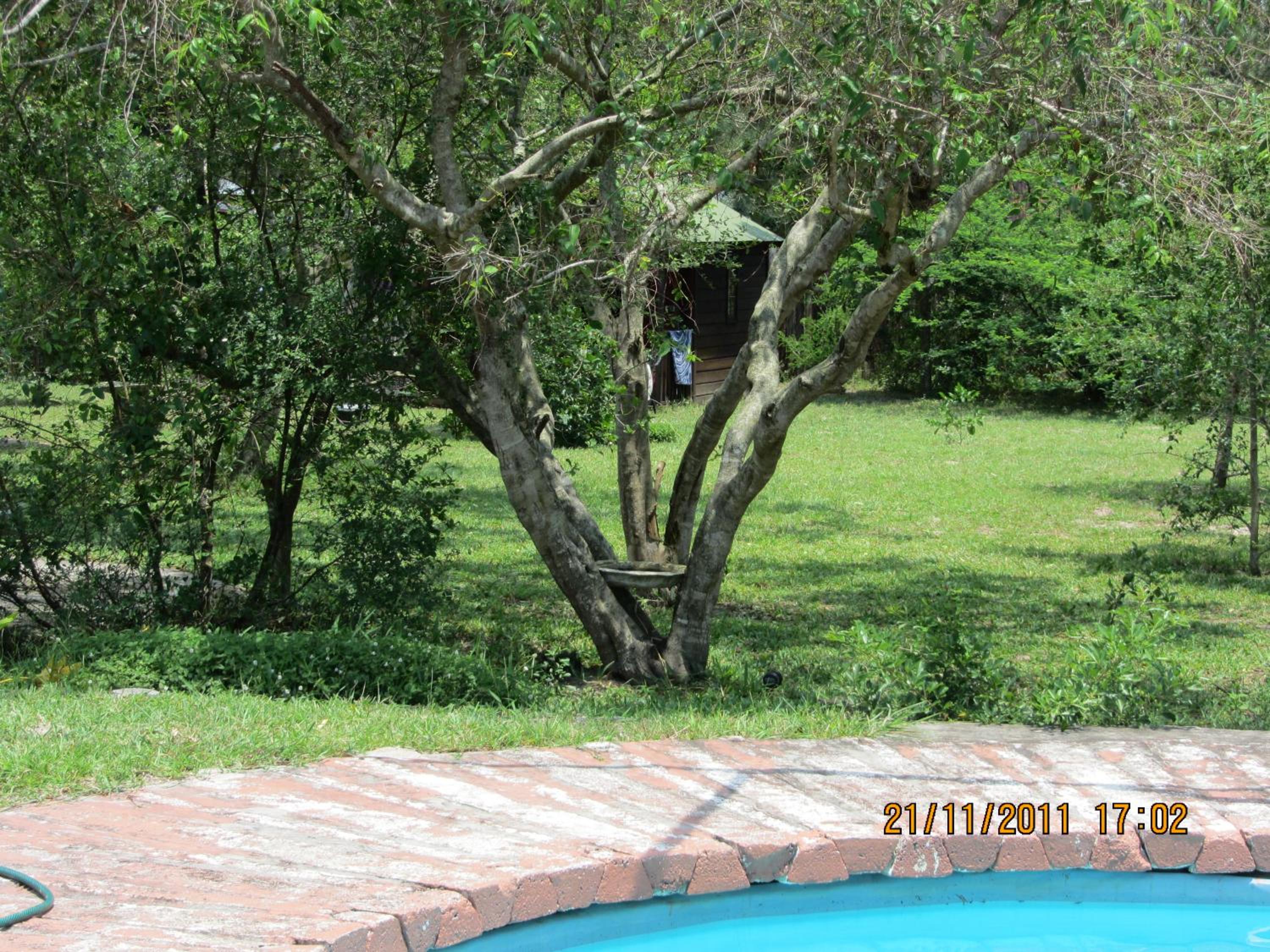 Photo 27