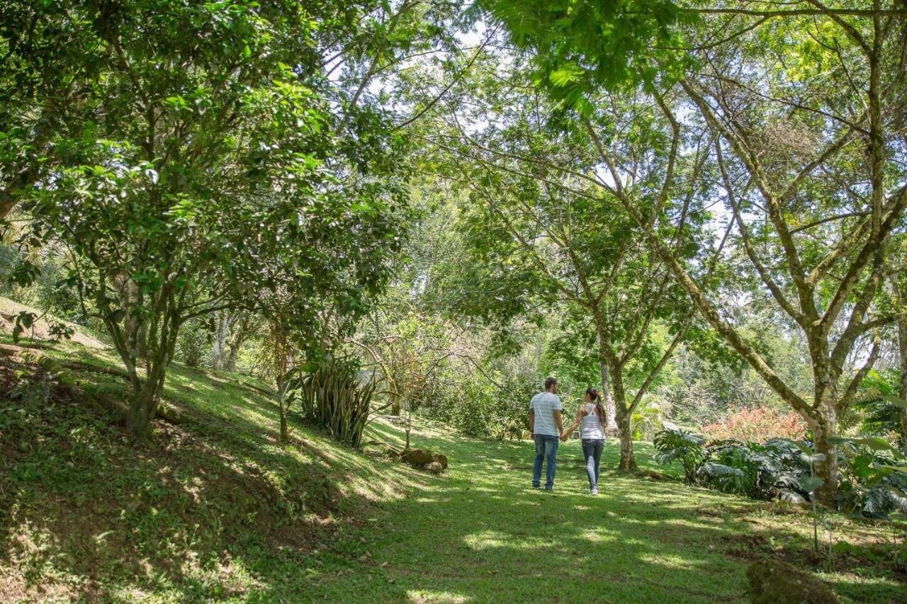 Hospedaje La Naciente