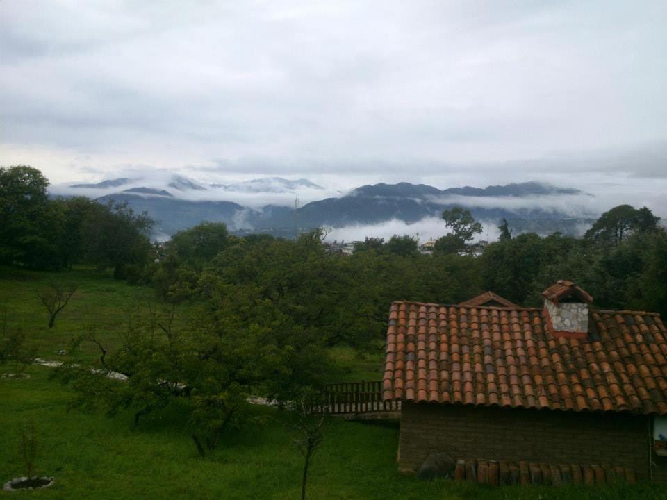 Photo 25