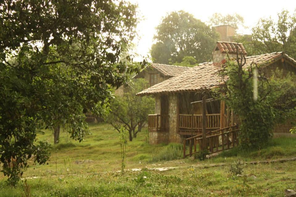 Photo 27