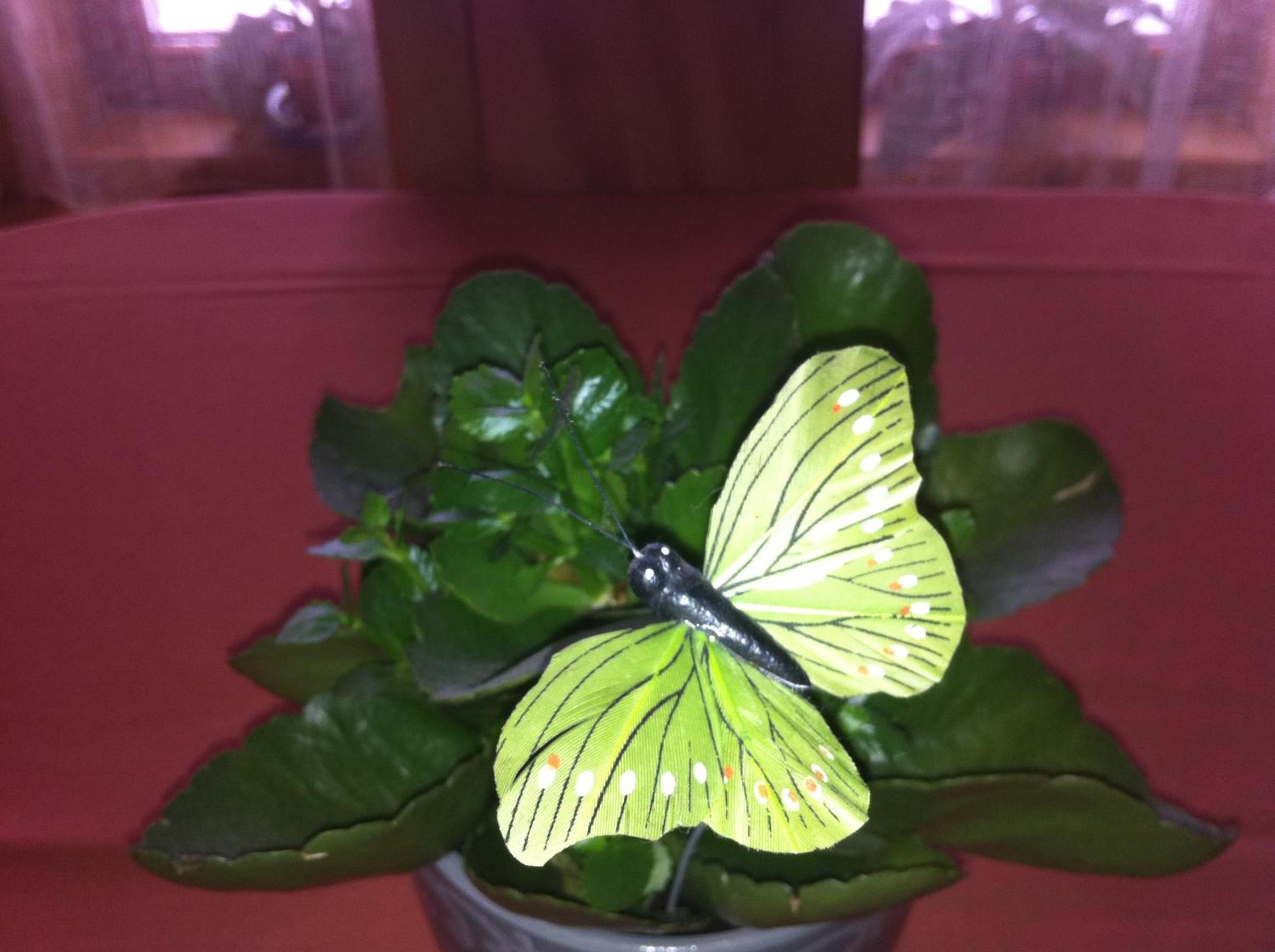 Photo 40