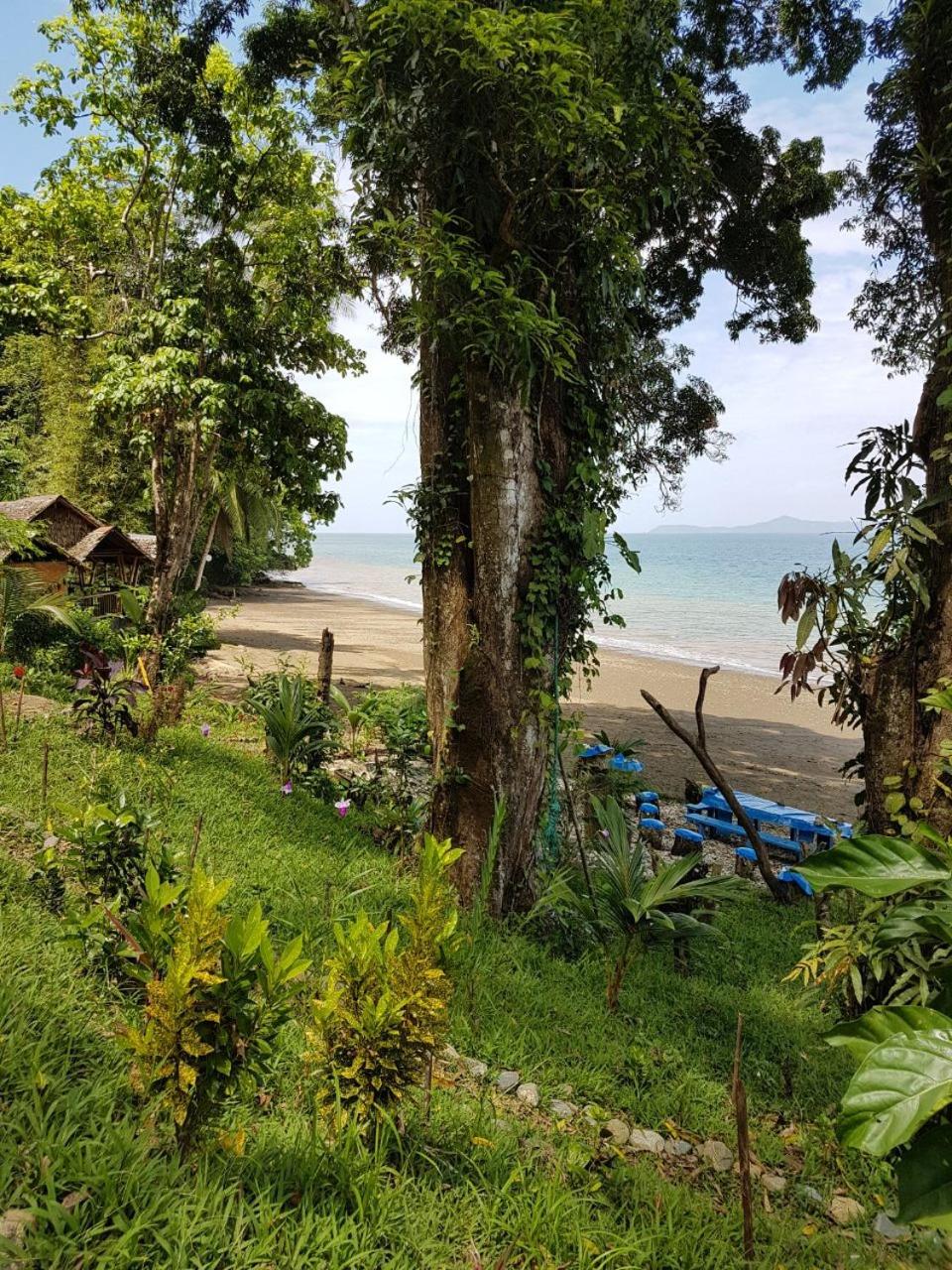 Ecolodge el Arca Bahia Solano