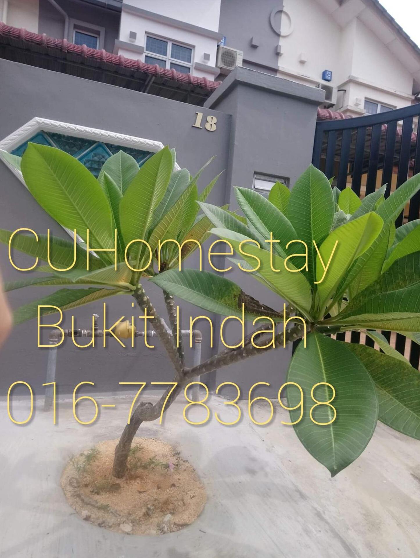 CUHomestay 5 Bedroom Bukit Indah Near AEON Mall Legoland Johor Bahru