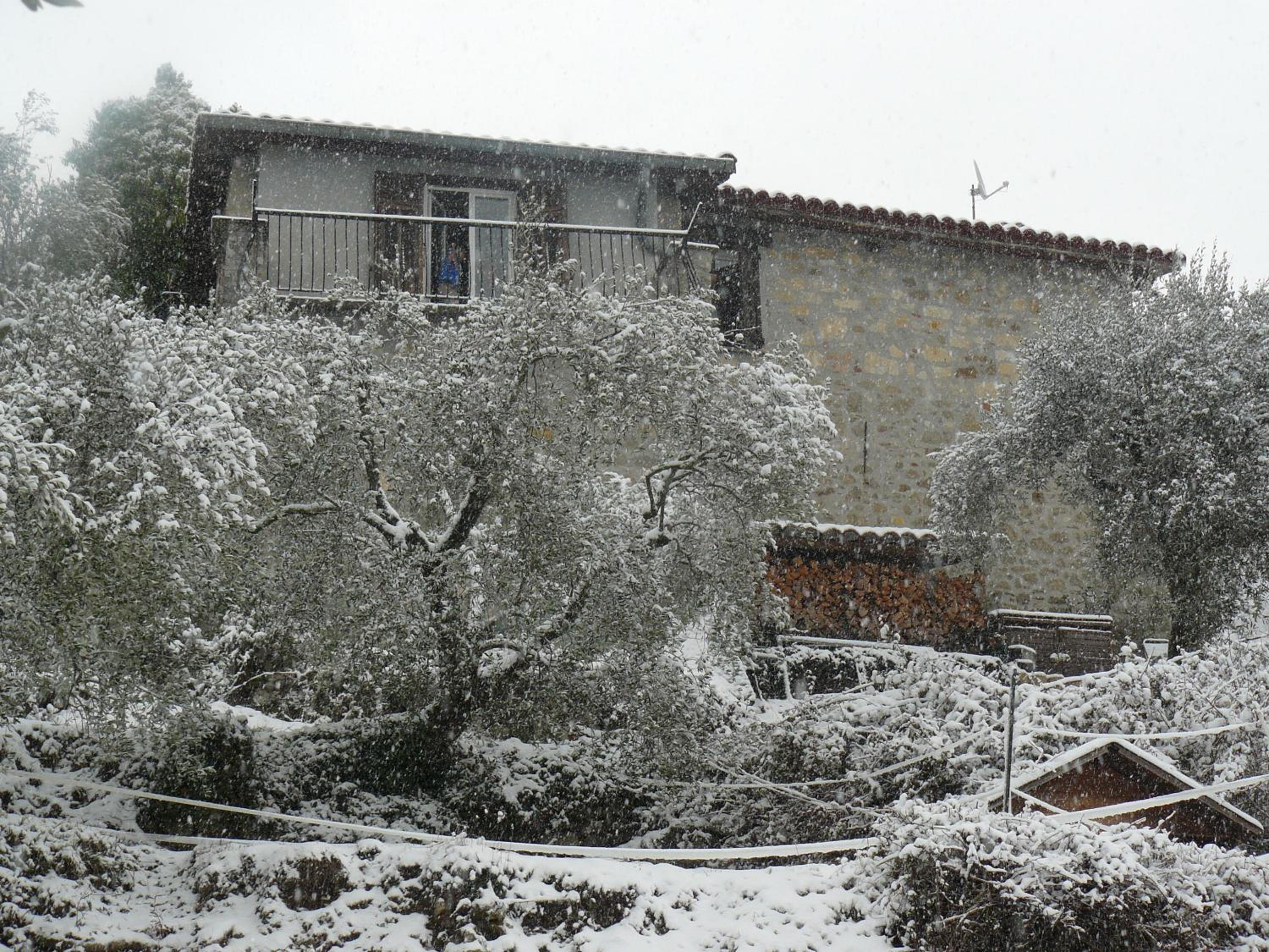 Photo 39
