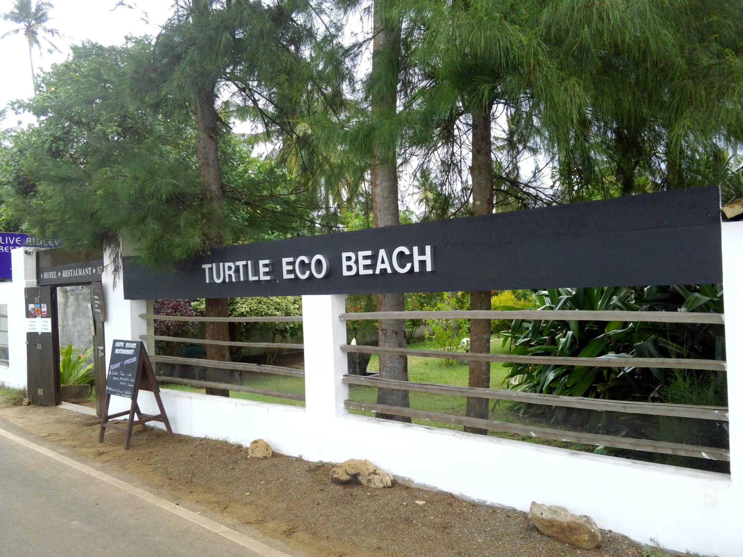 Hotel Turtle Eco Beach - Image 1