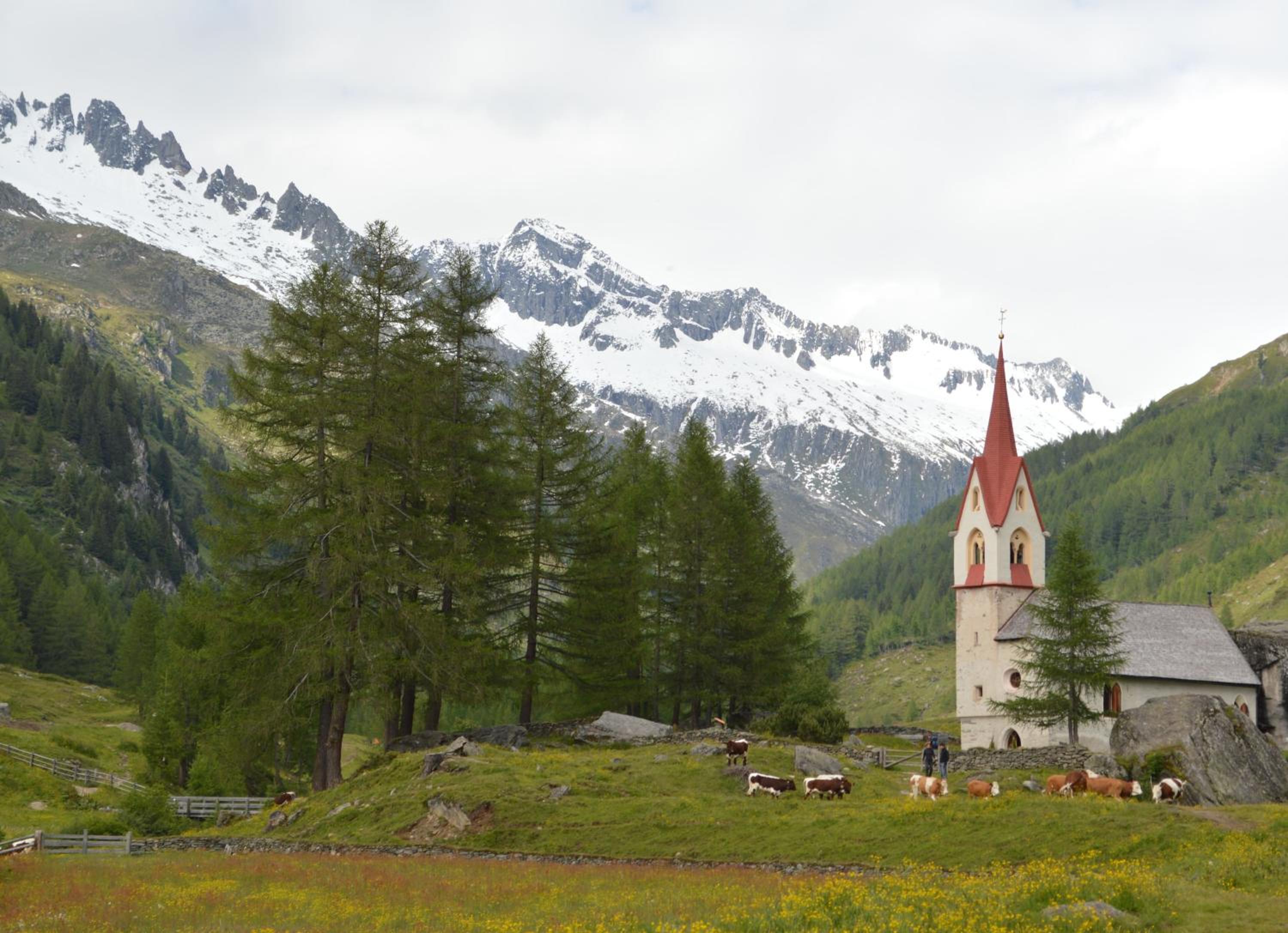 Photo 23