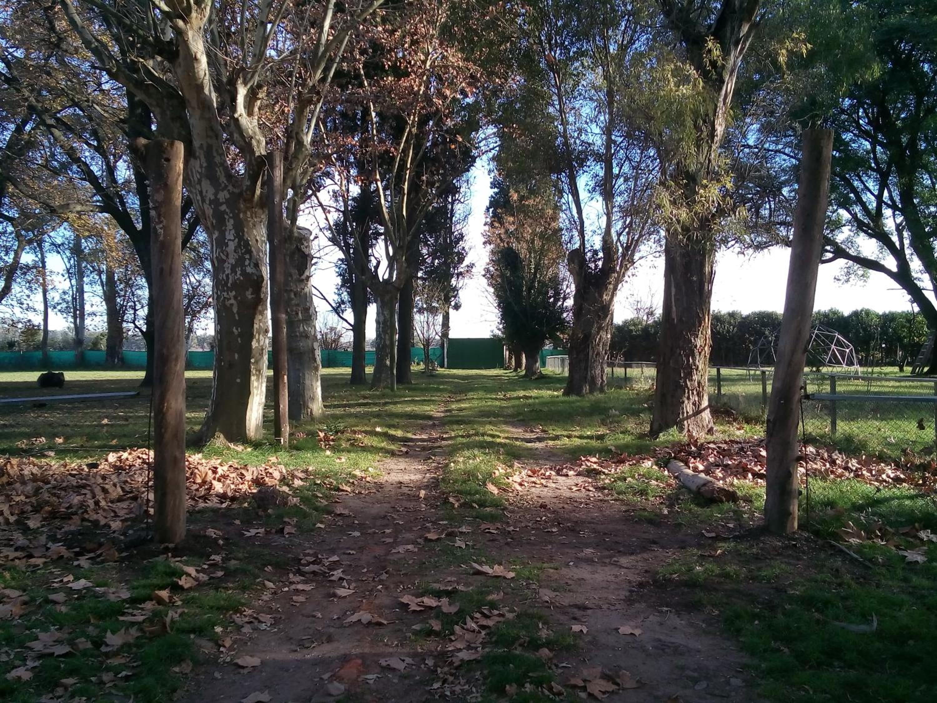 La Justina - Nuestro Campo