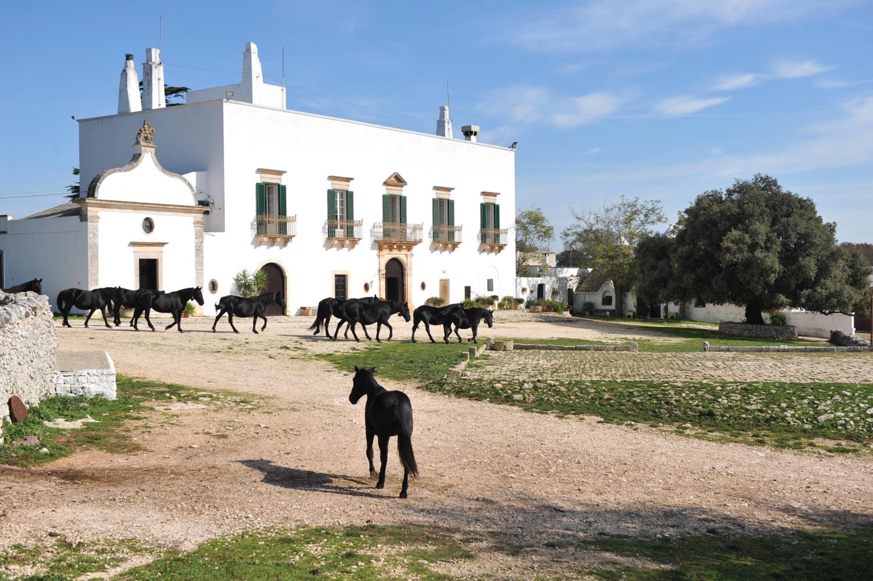 Masseria Tagliente - main view