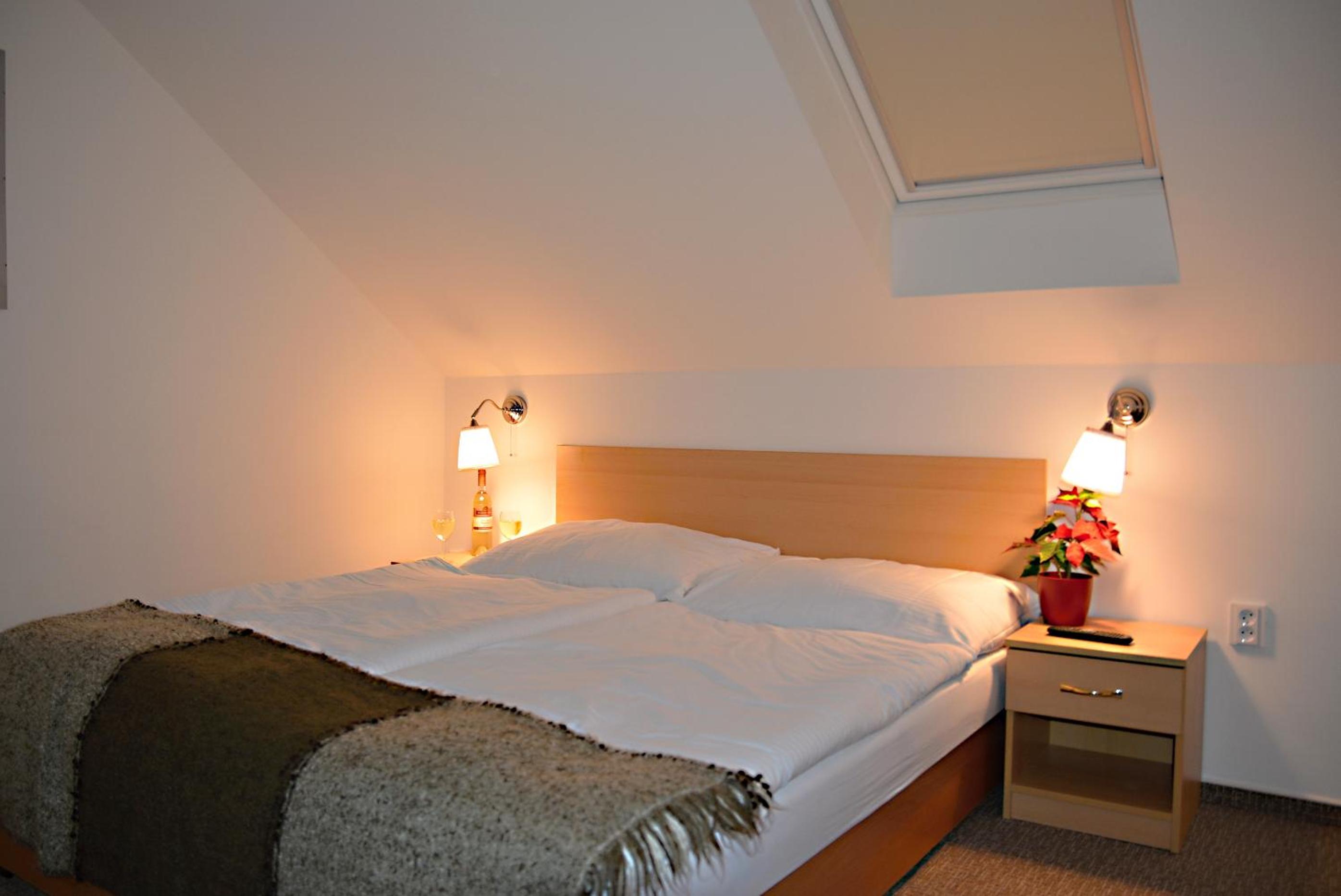 Wellness Vila Bohemia