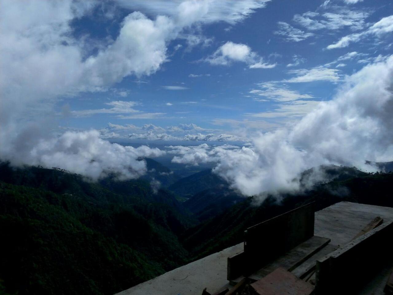 Photo 42