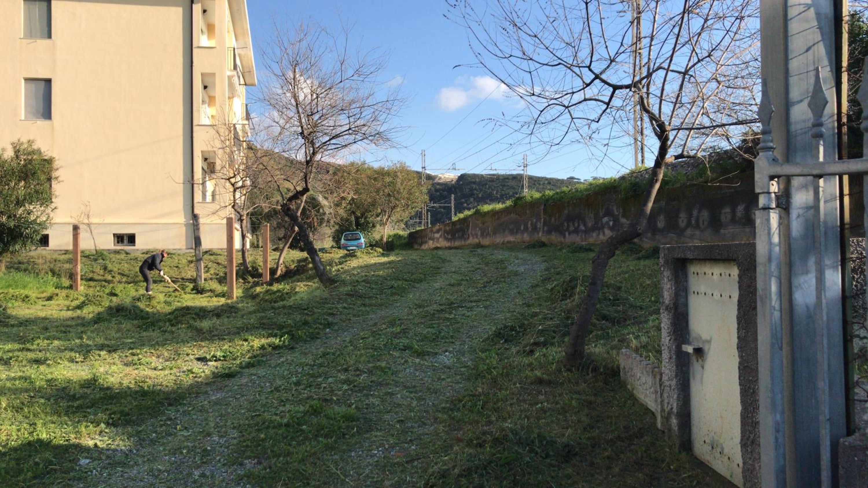 Photo 16