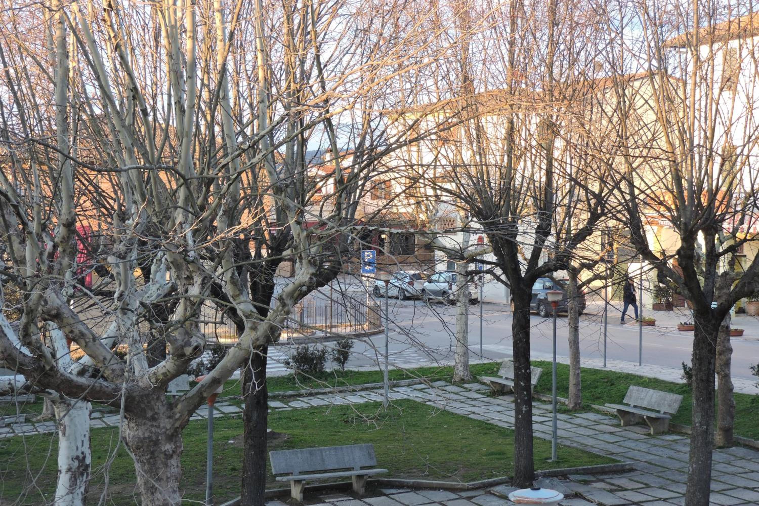 Photo 13