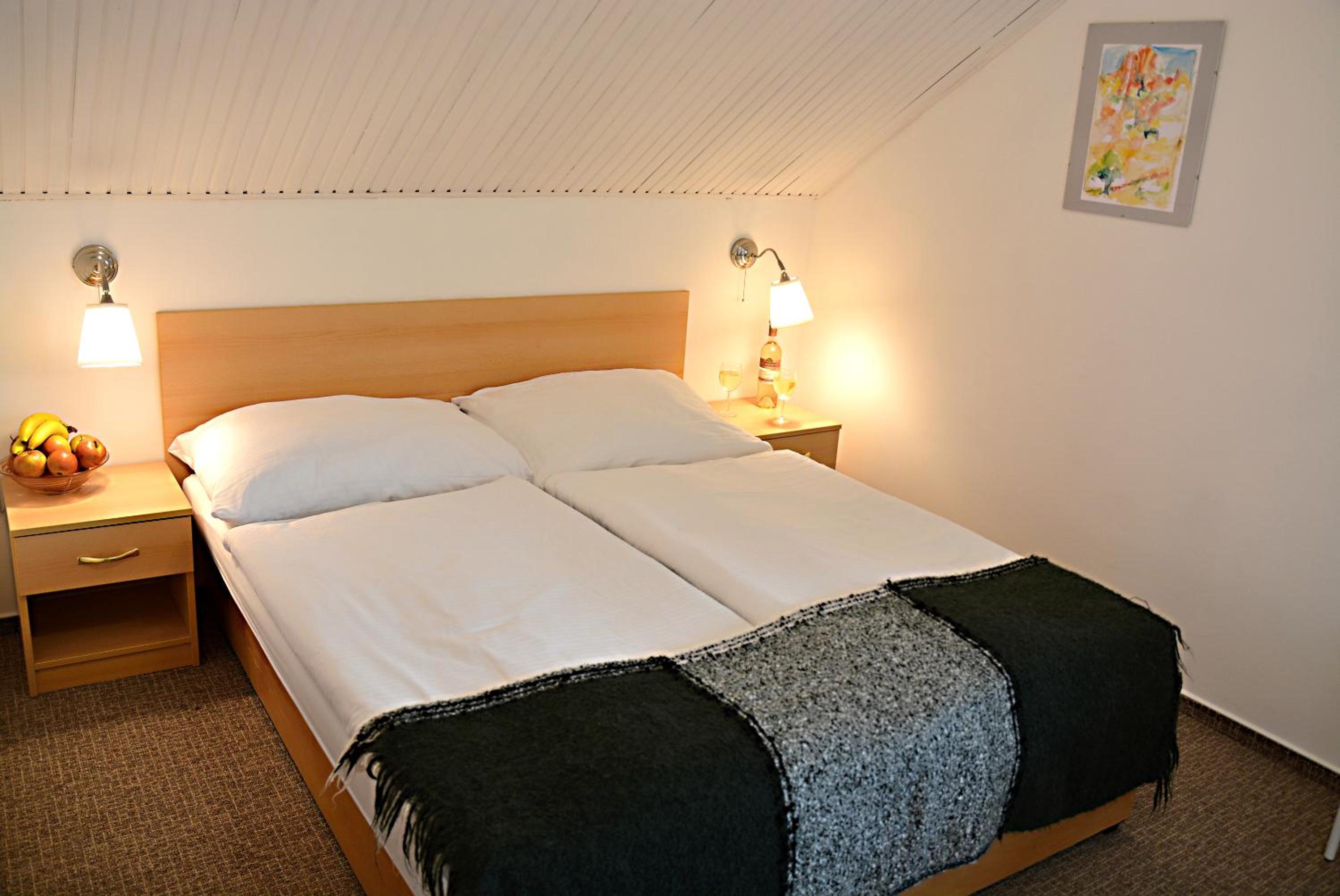 Wellness Vila Bohemia