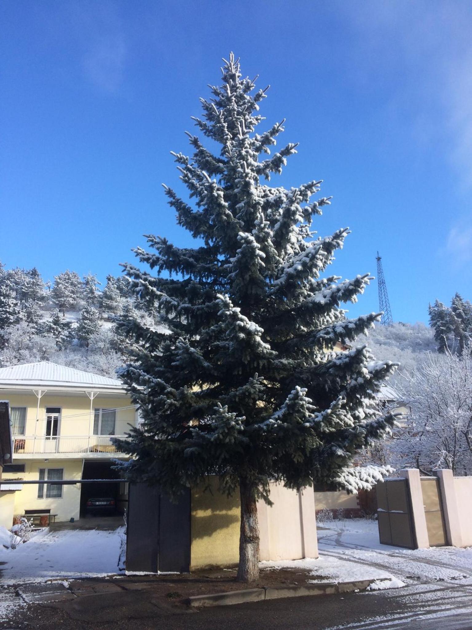 Gokor Guesthouse