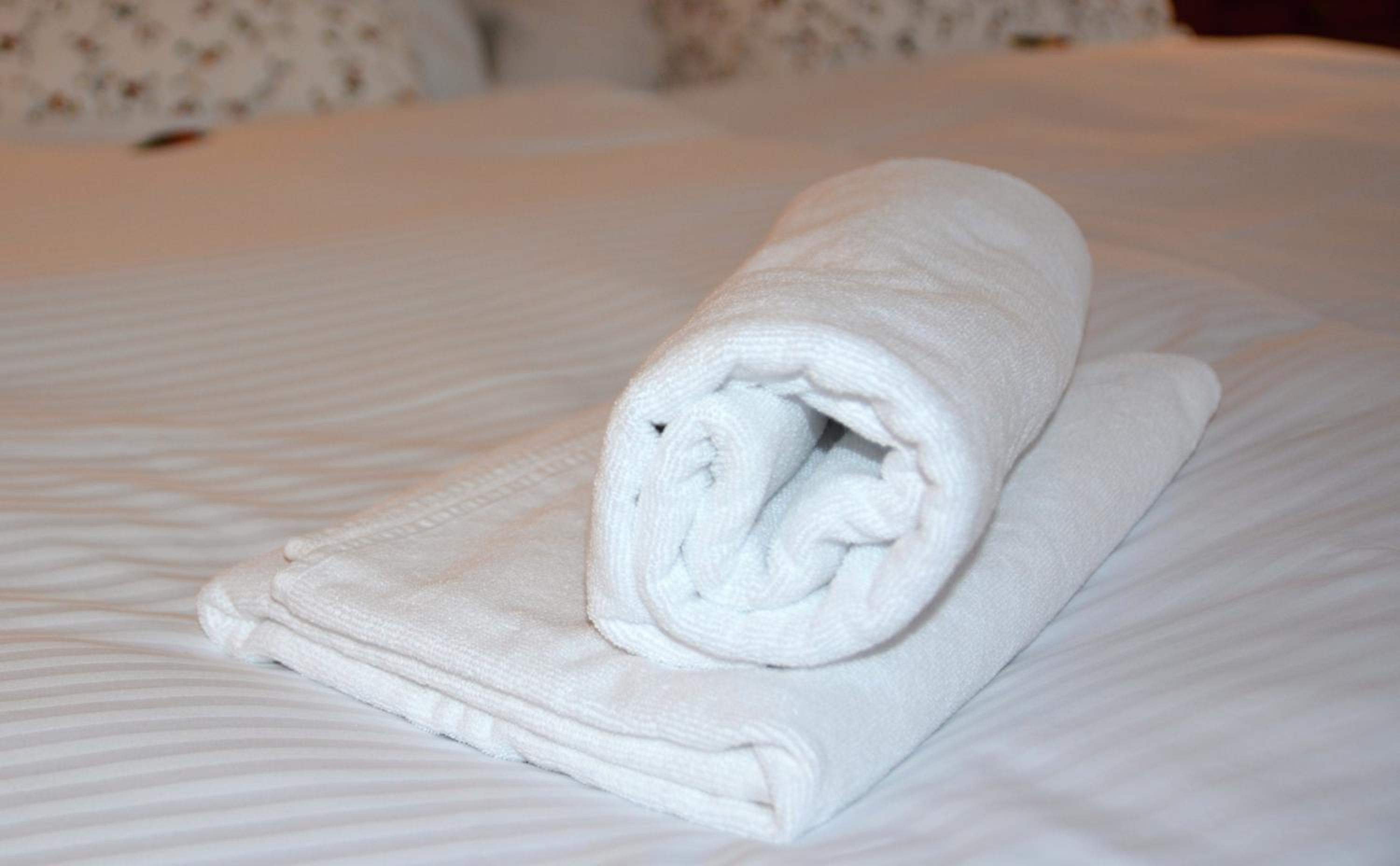 Wellness Vila Bohemia