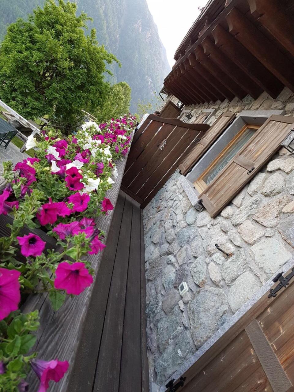 Agriturismo Ca' di Racc view 5
