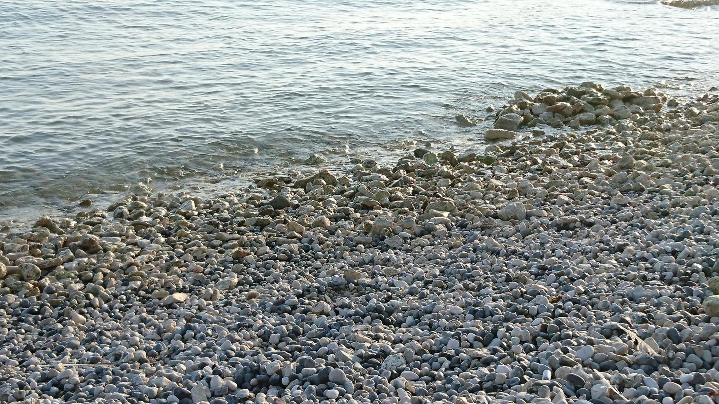 Photo 39