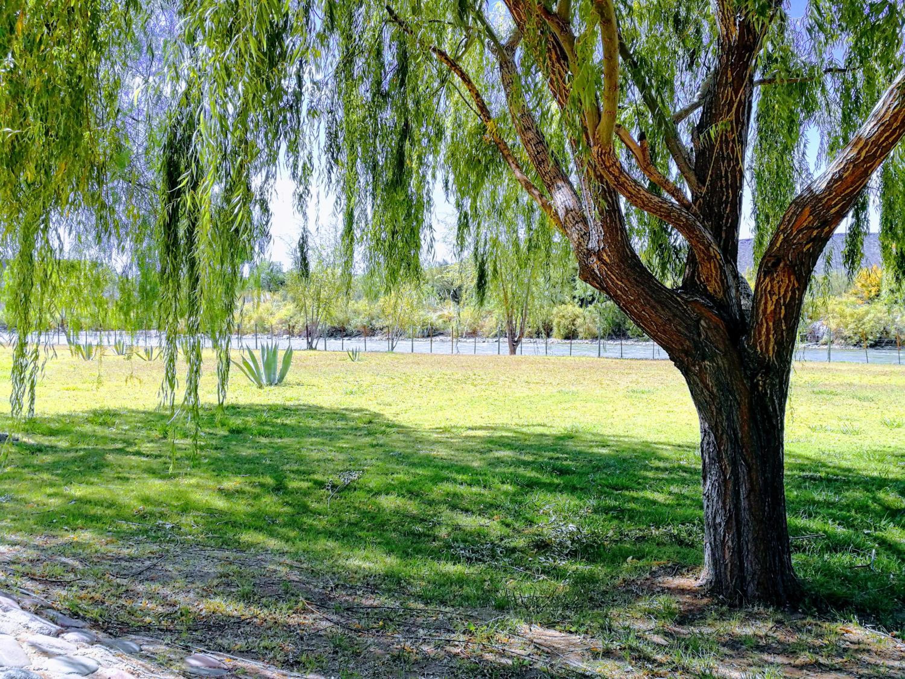 Cabañas 